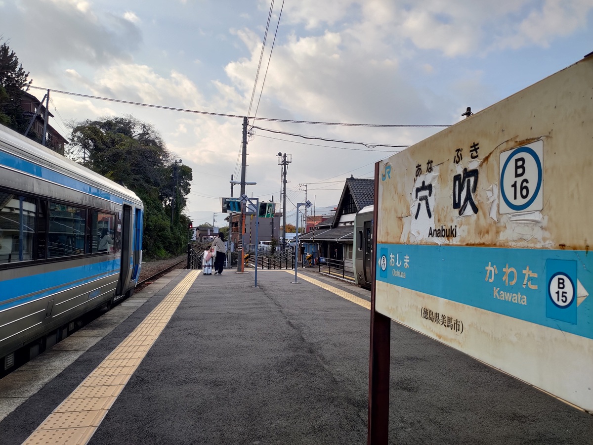 德島美馬農泊｜農家民宿中島 山上秋楓一泊二食 跟著奶奶種花拔菜包水餃 免費接送與預約方法 看板狗狗迎接 四國民宿 德島住宿