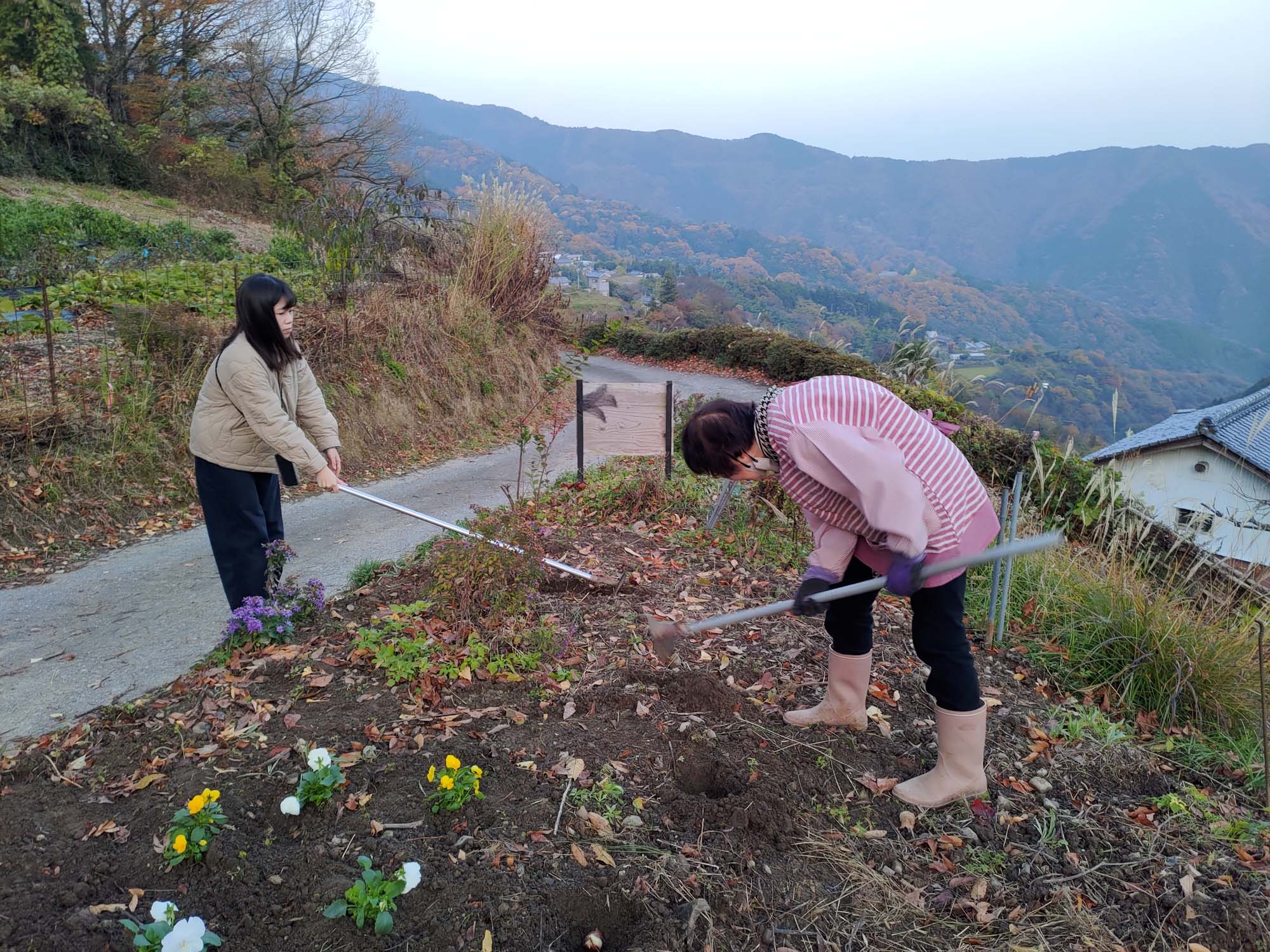 德島美馬農泊｜農家民宿中島 山上秋楓一泊二食 跟著奶奶種花拔菜包水餃 免費接送與預約方法 看板狗狗迎接 四國民宿 德島住宿