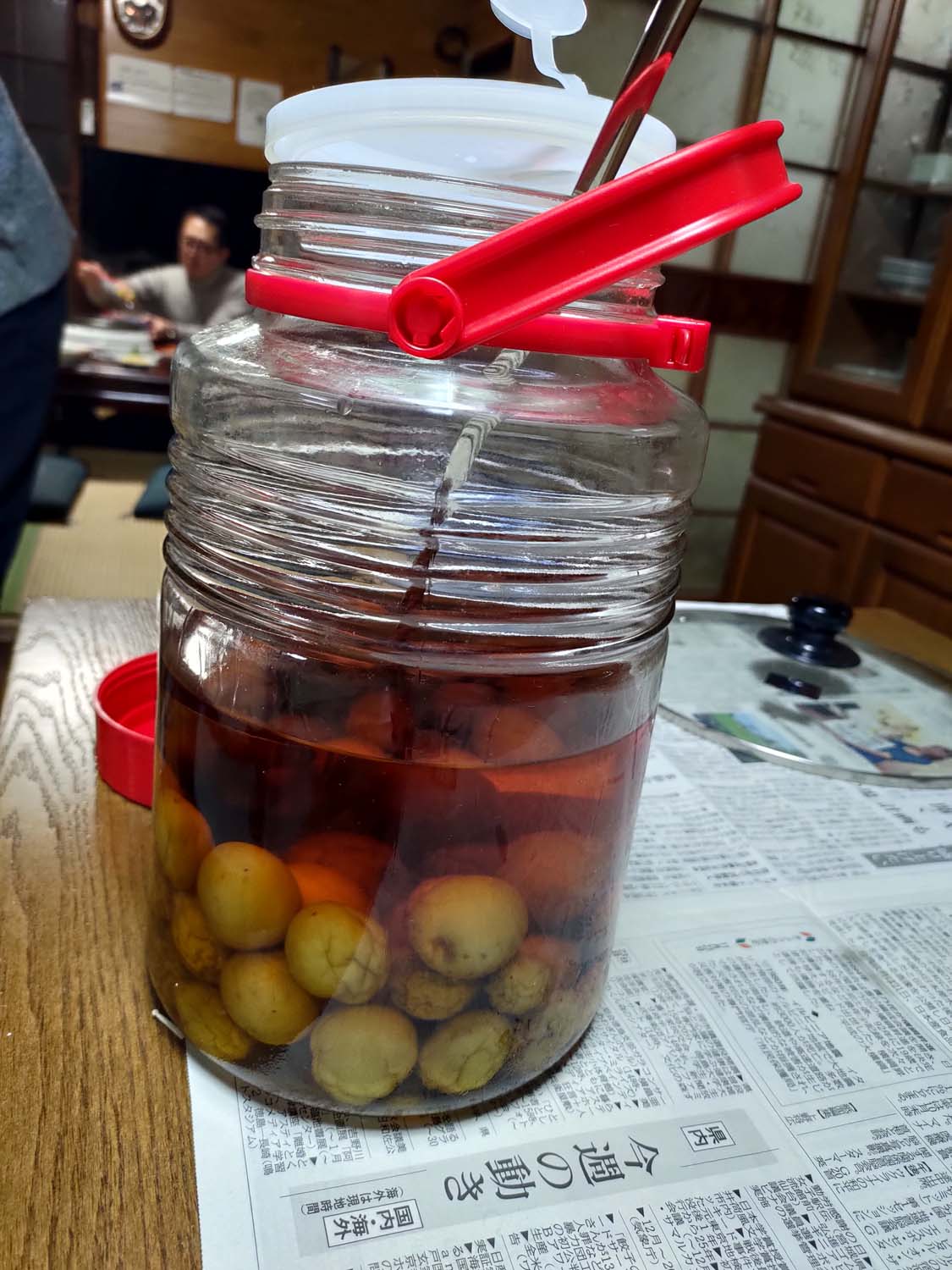 德島美馬農泊｜農家民宿中島 山上秋楓一泊二食 跟著奶奶種花拔菜包水餃 免費接送與預約方法 看板狗狗迎接 四國民宿 德島住宿