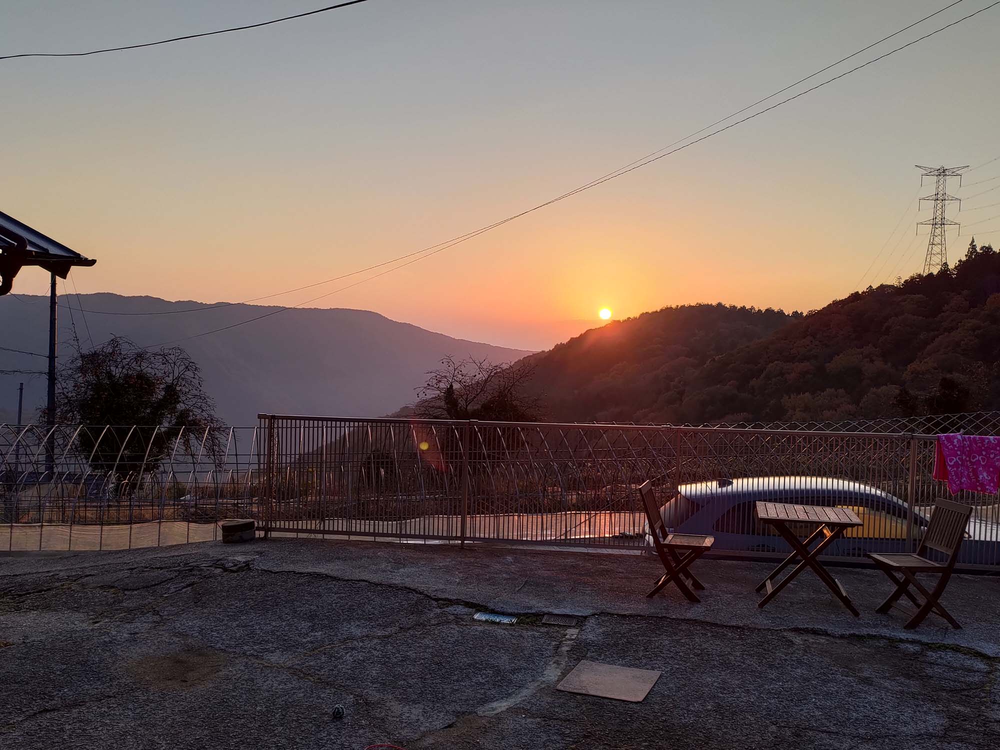 德島美馬農泊｜農家民宿中島 山上秋楓一泊二食 跟著奶奶種花拔菜包水餃 免費接送與預約方法 看板狗狗迎接 四國民宿 德島住宿