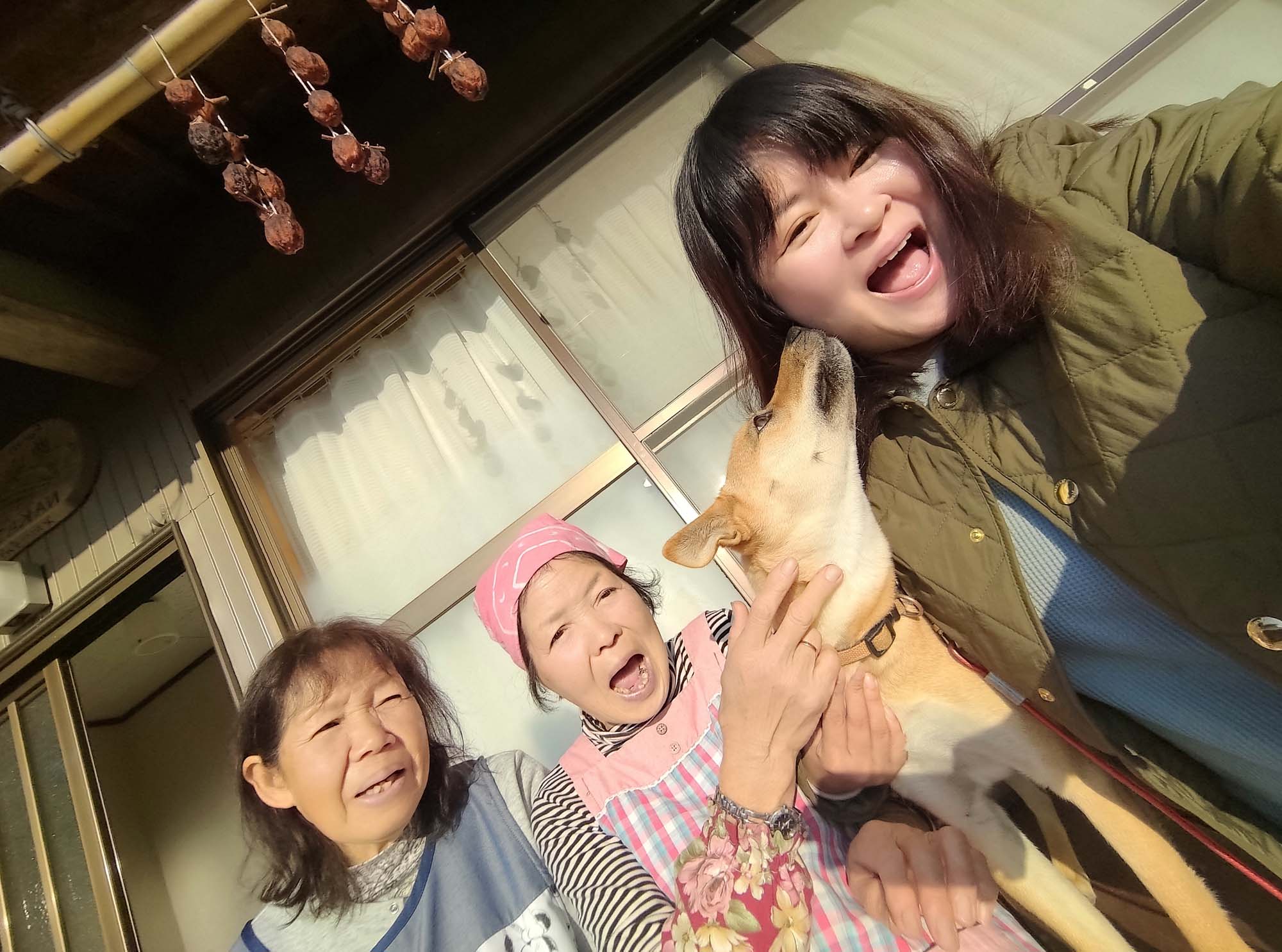 德島美馬農泊｜農家民宿中島 山上秋楓一泊二食 跟著奶奶種花拔菜包水餃 免費接送與預約方法 看板狗狗迎接 四國民宿 德島住宿