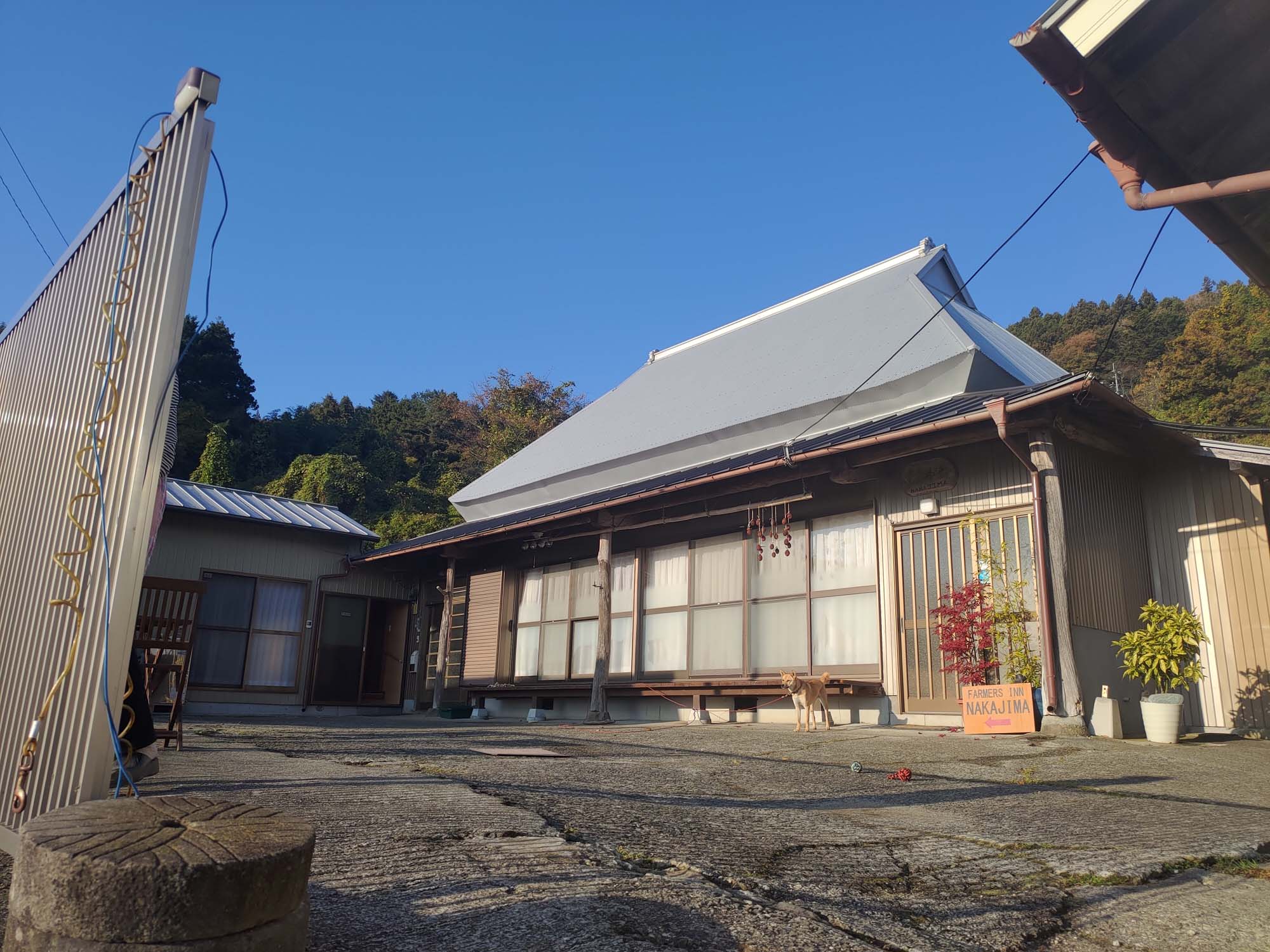 德島美馬農泊｜農家民宿中島 山上秋楓一泊二食 跟著奶奶種花拔菜包水餃 免費接送與預約方法 看板狗狗迎接 四國民宿 德島住宿