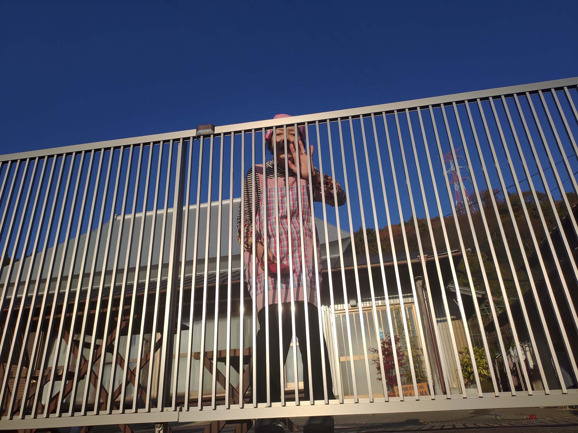 德島美馬農泊｜農家民宿中島 山上秋楓一泊二食 跟著奶奶種花拔菜包水餃 免費接送與預約方法 看板狗狗迎接 四國民宿 德島住宿