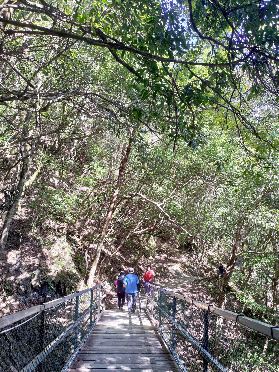 台灣新竹尖石爬山┃高海拔上帝的部落-司馬庫斯 秋末初冬巨木群部落標高1500公尺感動旅程 村落の美しさ台湾登山