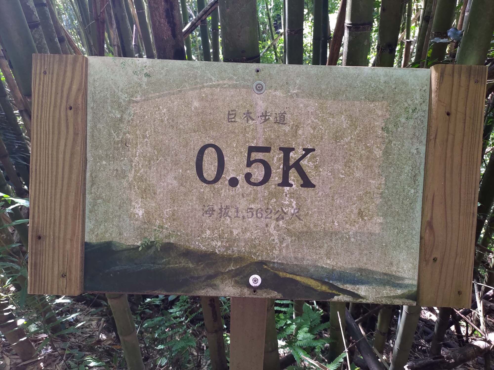 台灣新竹尖石爬山┃高海拔上帝的部落-司馬庫斯 秋末初冬巨木群部落標高1500公尺感動旅程 村落の美しさ台湾登山