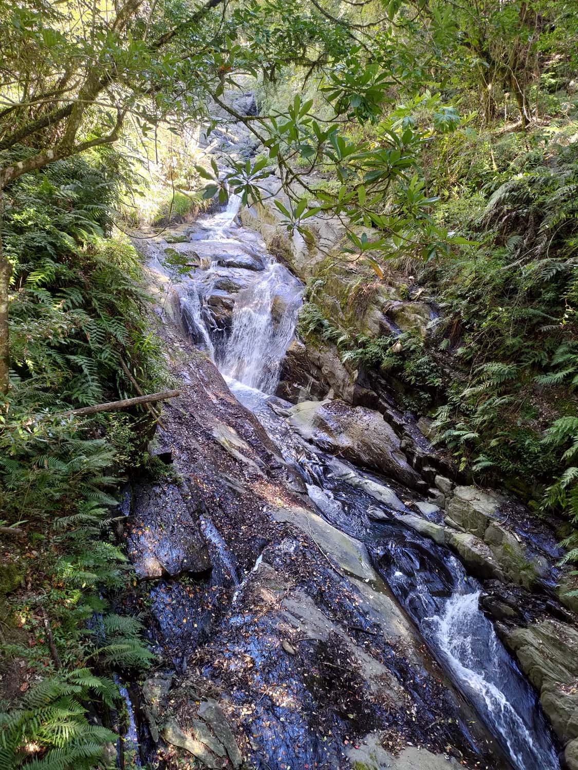 台灣新竹尖石爬山┃高海拔上帝的部落-司馬庫斯 秋末初冬巨木群部落標高1500公尺感動旅程 村落の美しさ台湾登山