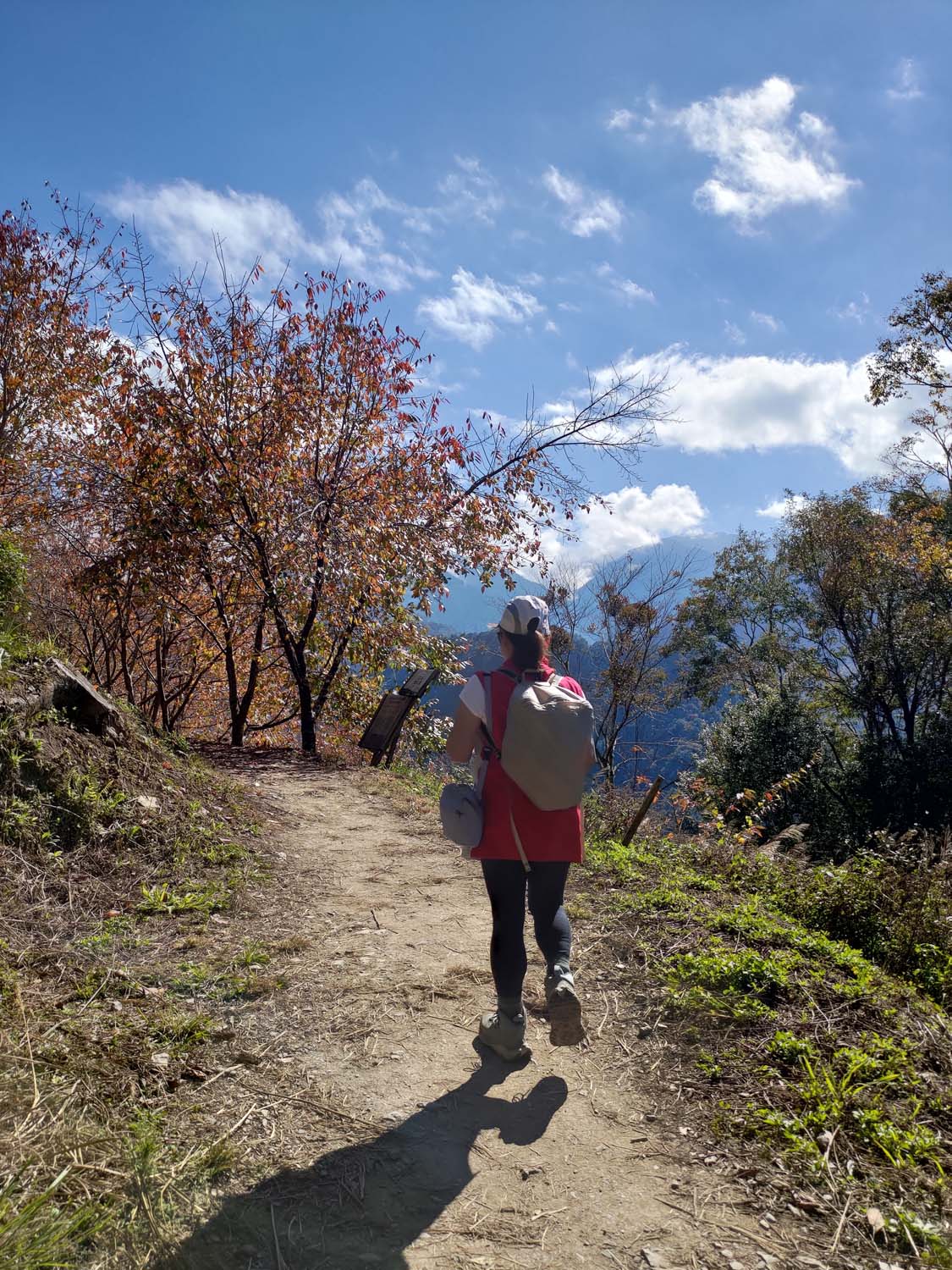 台灣新竹尖石爬山┃高海拔上帝的部落-司馬庫斯 秋末初冬巨木群部落標高1500公尺感動旅程 村落の美しさ台湾登山