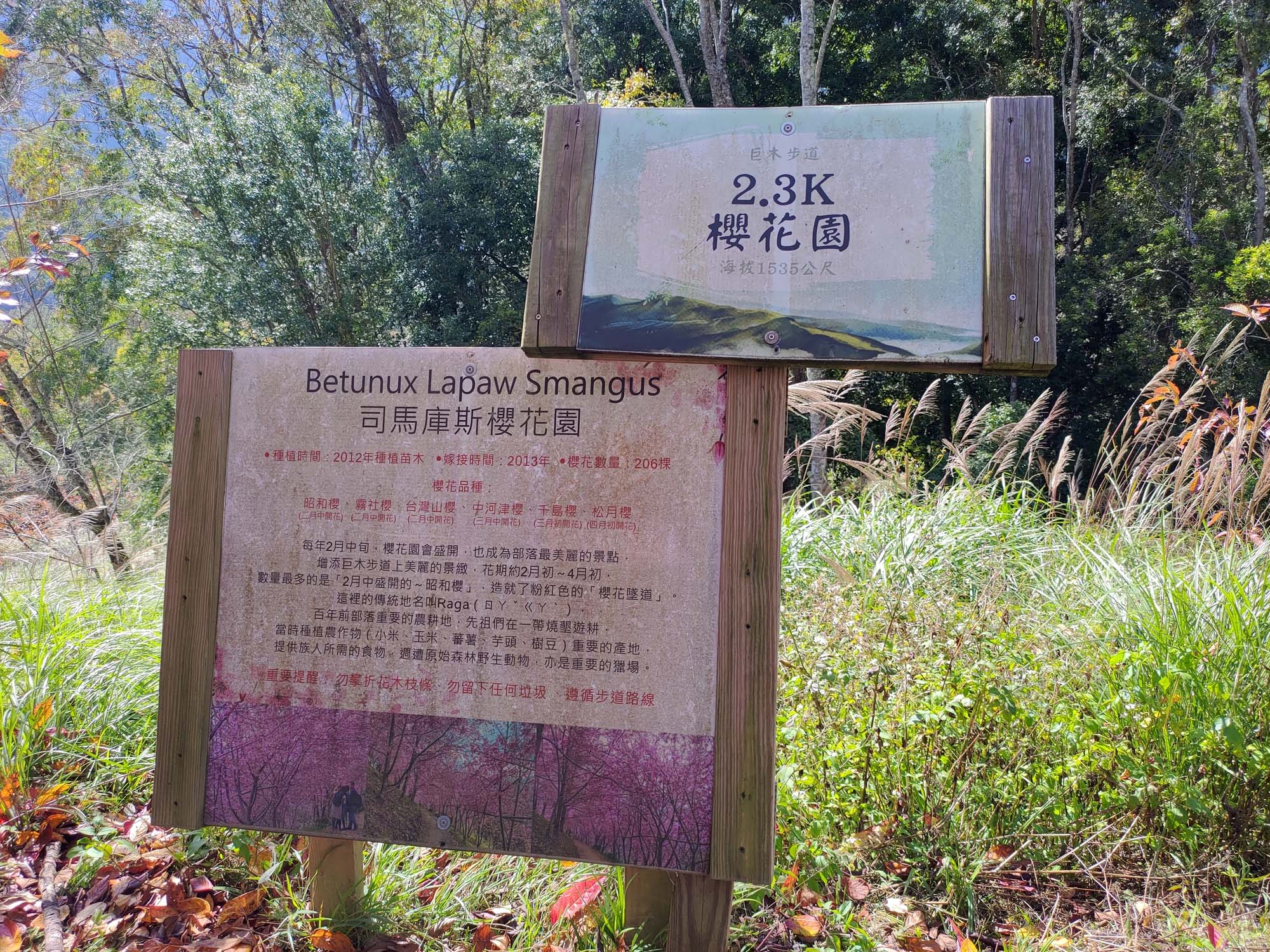 台灣新竹尖石爬山┃高海拔上帝的部落-司馬庫斯 秋末初冬巨木群部落標高1500公尺感動旅程 村落の美しさ台湾登山