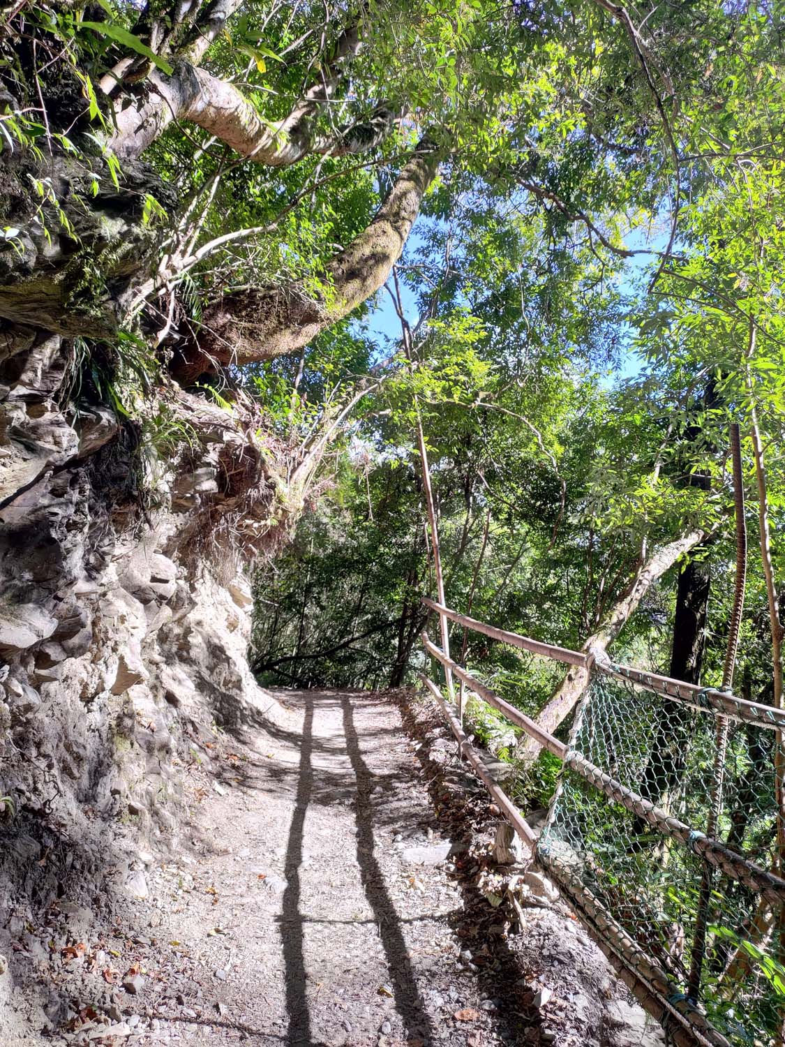 台灣新竹尖石爬山┃高海拔上帝的部落-司馬庫斯 秋末初冬巨木群部落標高1500公尺感動旅程 村落の美しさ台湾登山