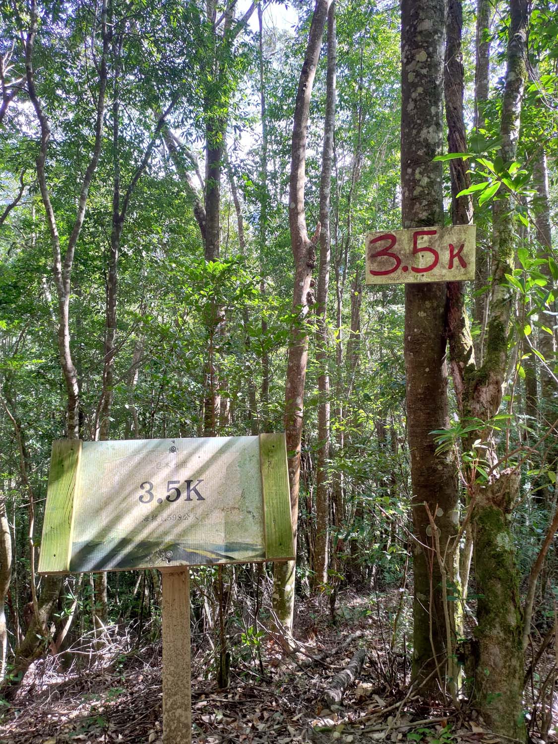 台灣新竹尖石爬山┃高海拔上帝的部落-司馬庫斯 秋末初冬巨木群部落標高1500公尺感動旅程 村落の美しさ台湾登山