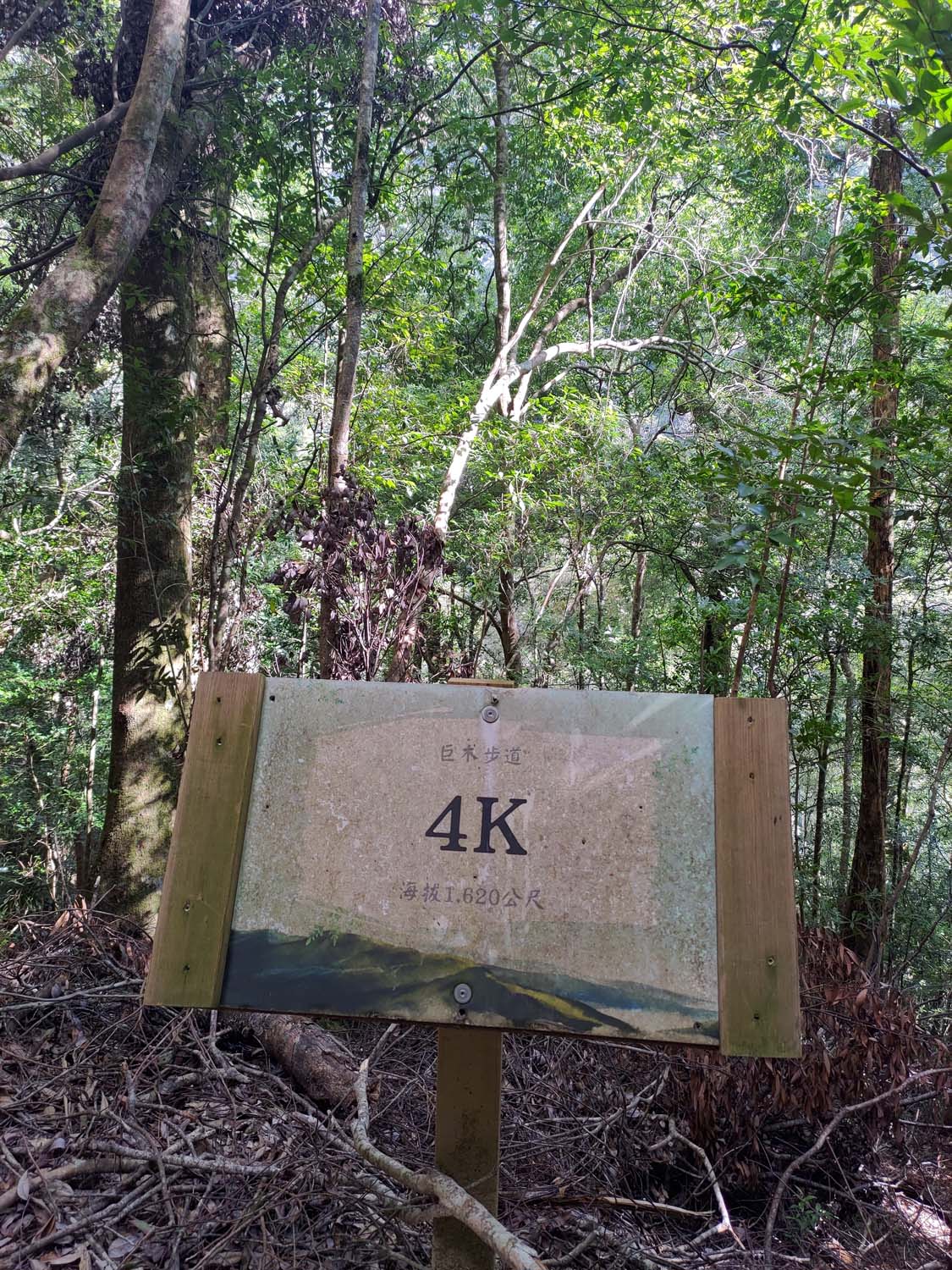 台灣新竹尖石爬山┃高海拔上帝的部落-司馬庫斯 秋末初冬巨木群部落標高1500公尺感動旅程 村落の美しさ台湾登山