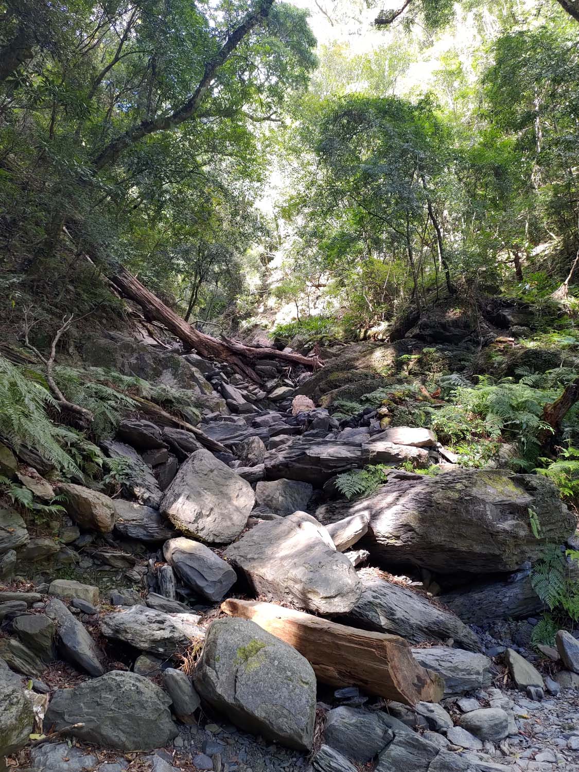 台灣新竹尖石爬山┃高海拔上帝的部落-司馬庫斯 秋末初冬巨木群部落標高1500公尺感動旅程 村落の美しさ台湾登山
