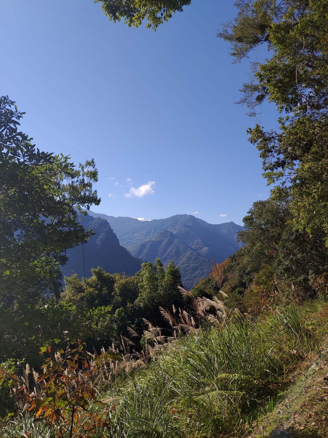 台灣新竹尖石爬山┃高海拔上帝的部落-司馬庫斯 秋末初冬巨木群部落標高1500公尺感動旅程 村落の美しさ台湾登山