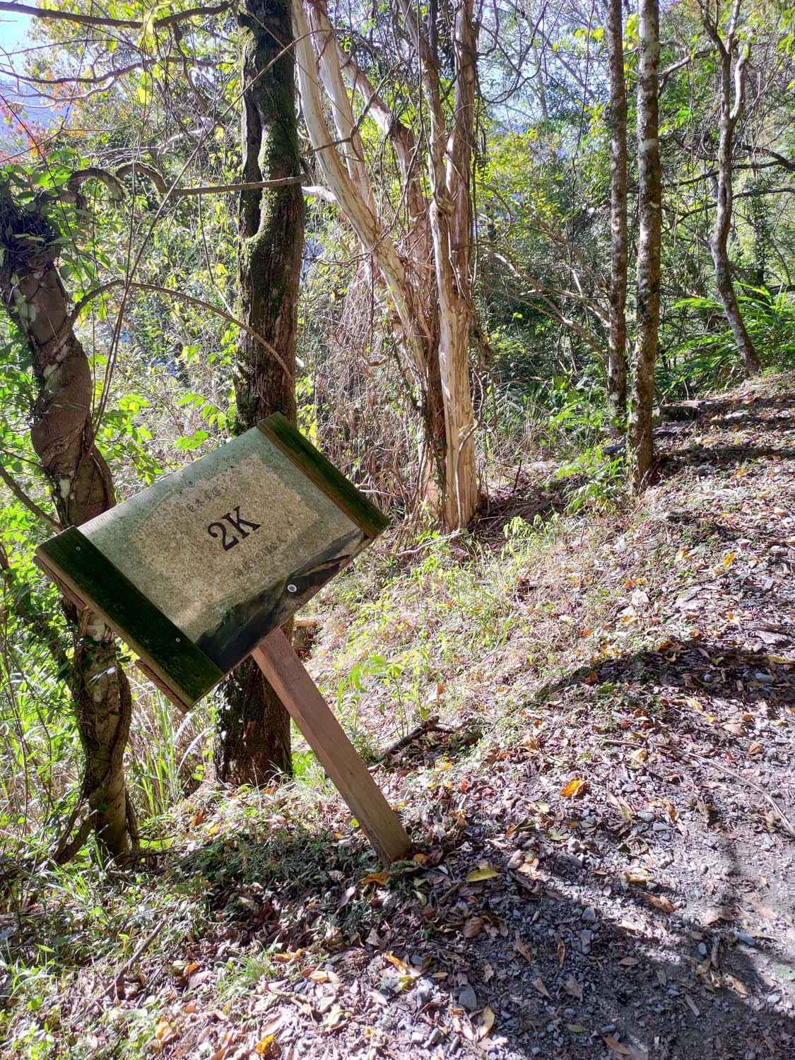 台灣新竹尖石爬山┃高海拔上帝的部落-司馬庫斯 秋末初冬巨木群部落標高1500公尺感動旅程 村落の美しさ台湾登山