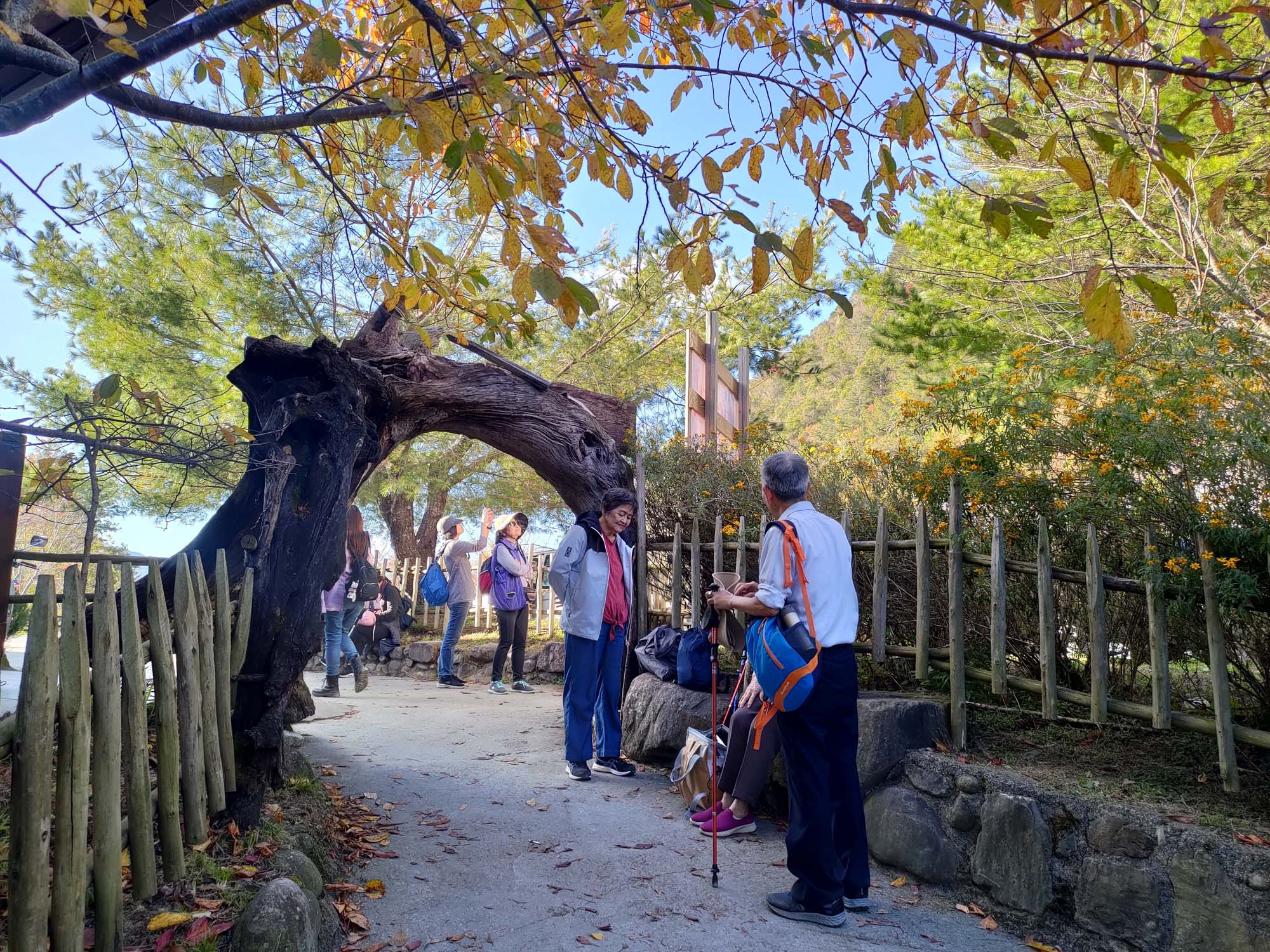 台灣新竹尖石爬山┃高海拔上帝的部落-司馬庫斯 秋末初冬巨木群部落標高1500公尺感動旅程 村落の美しさ台湾登山