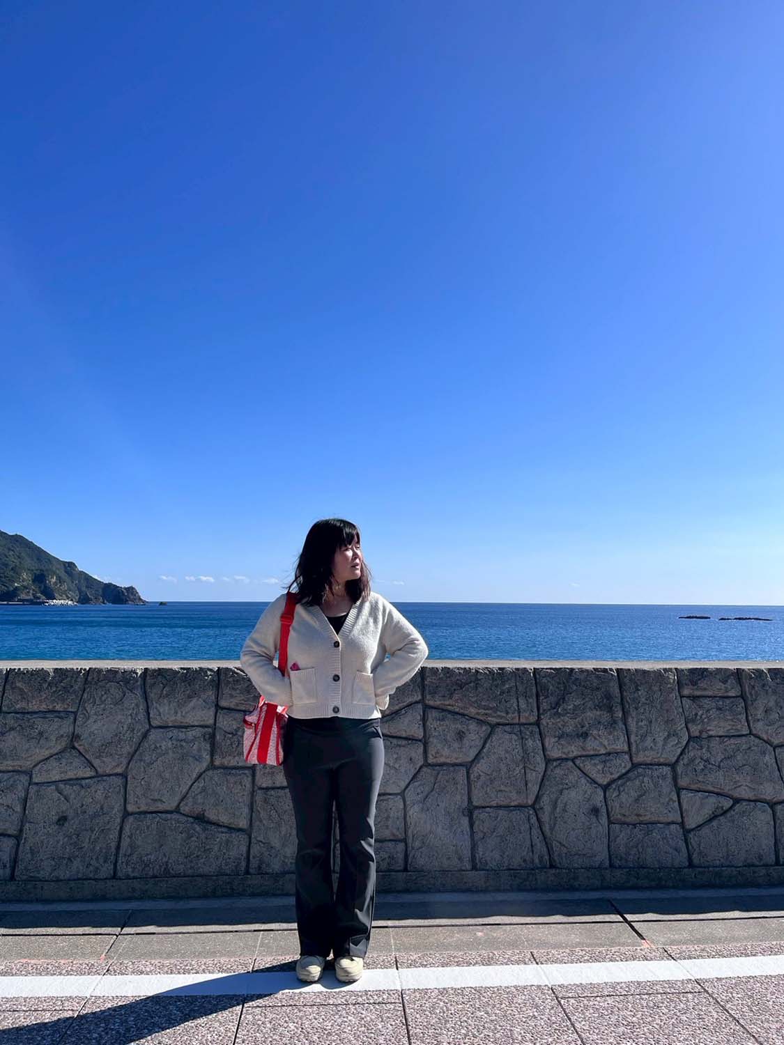 德島景點┃2025全新改裝!日本唯一「日和佐海龜博物館」座落百選大浜海岸 海龜產卵地 補捉百歲長輩海龜 德島親子自由行 德島景點 - 第48張圖 德島景點┃2025全新改裝!日本唯一「日和佐海龜博物館」座落百選大浜海岸 海龜產卵地 補捉百歲長輩海龜 德島親子自由行 德島景點