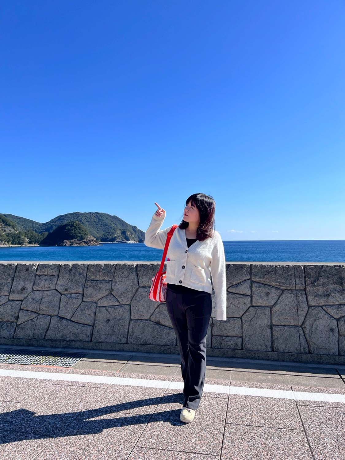 德島景點┃2025全新改裝!日本唯一「日和佐海龜博物館」座落百選大浜海岸 海龜產卵地 補捉百歲長輩海龜 德島親子自由行 德島景點 - 第49張圖 德島景點┃2025全新改裝!日本唯一「日和佐海龜博物館」座落百選大浜海岸 海龜產卵地 補捉百歲長輩海龜 德島親子自由行 德島景點