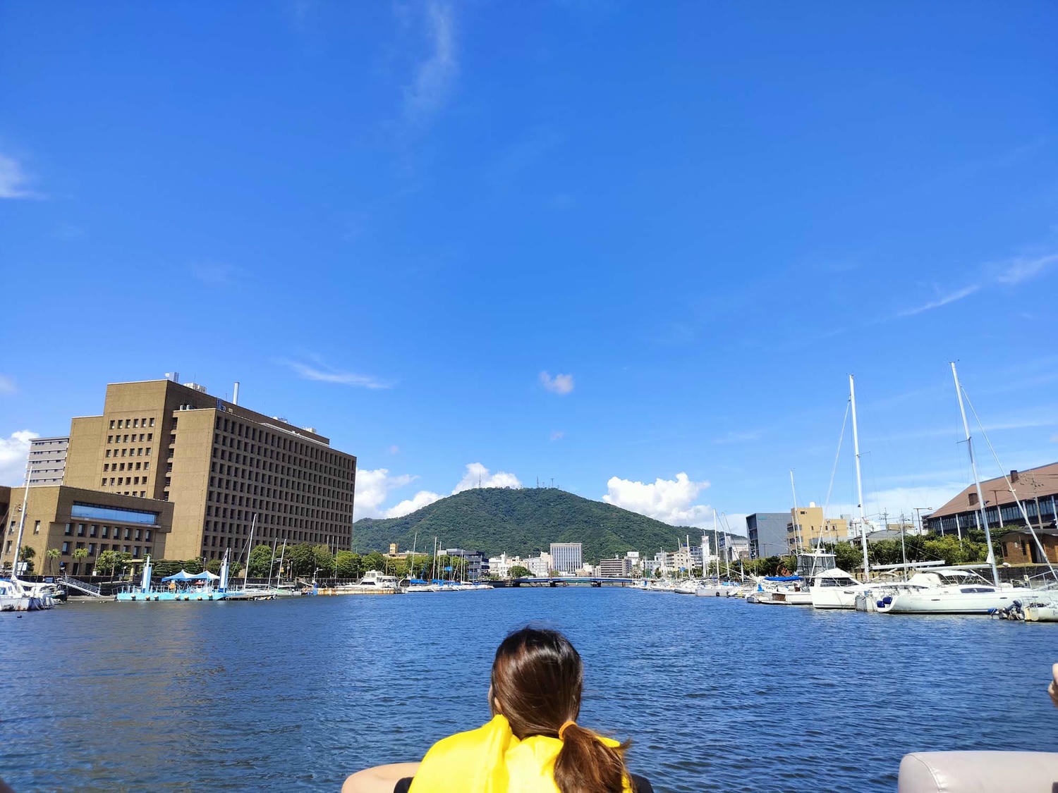 德島景點┃德島市區親子遊 搭葫蘆島周遊船、挑戰日本最矮弁天山、全日最大木育美術館明日夢樂園與水豚動物園四大必訪推薦