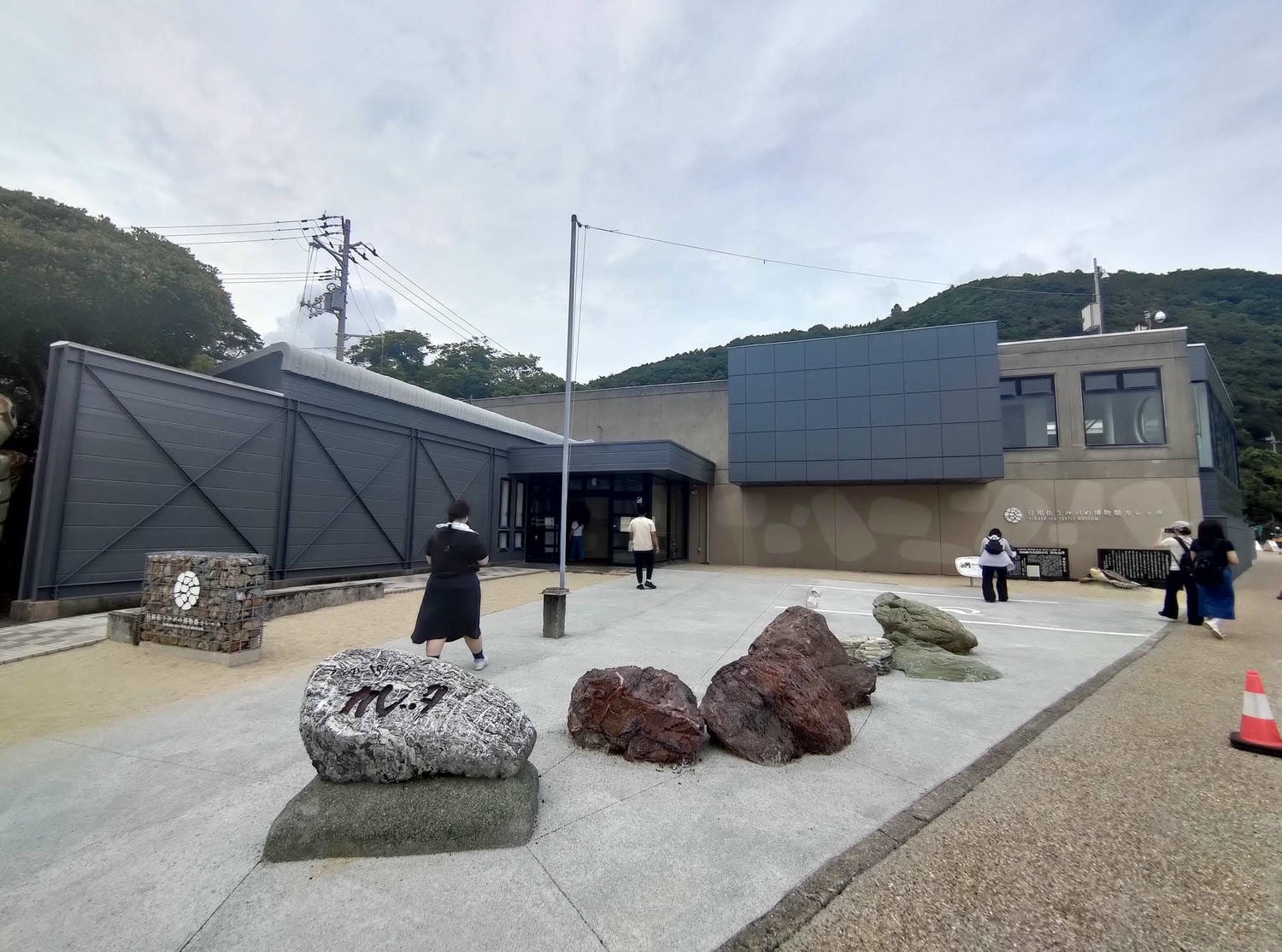 德島景點┃2025全新改裝!日本唯一「日和佐海龜博物館」座落百選大浜海岸 海龜產卵地 補捉百歲長輩海龜 德島親子自由行 德島景點 - 第2張圖 德島景點┃2025全新改裝!日本唯一「日和佐海龜博物館」座落百選大浜海岸 海龜產卵地 補捉百歲長輩海龜 德島親子自由行 德島景點