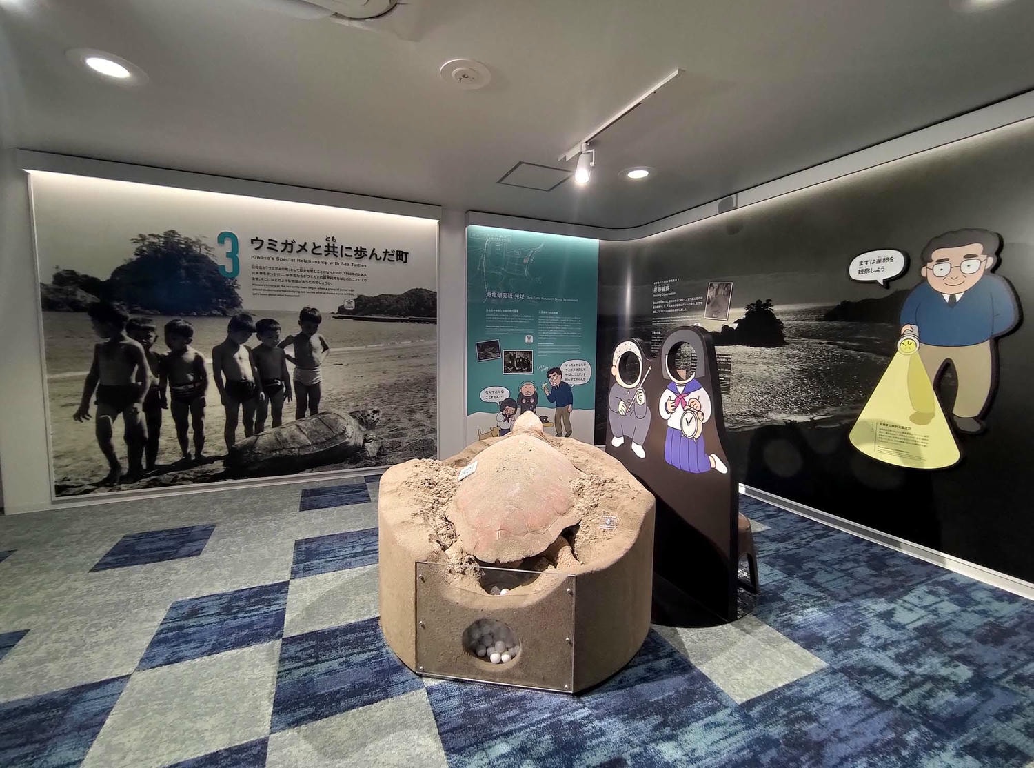德島景點┃2025全新改裝!日本唯一「日和佐海龜博物館」座落百選大浜海岸 海龜產卵地 補捉百歲長輩海龜 德島親子自由行 德島景點 - 第14張圖 德島景點┃2025全新改裝!日本唯一「日和佐海龜博物館」座落百選大浜海岸 海龜產卵地 補捉百歲長輩海龜 德島親子自由行 德島景點