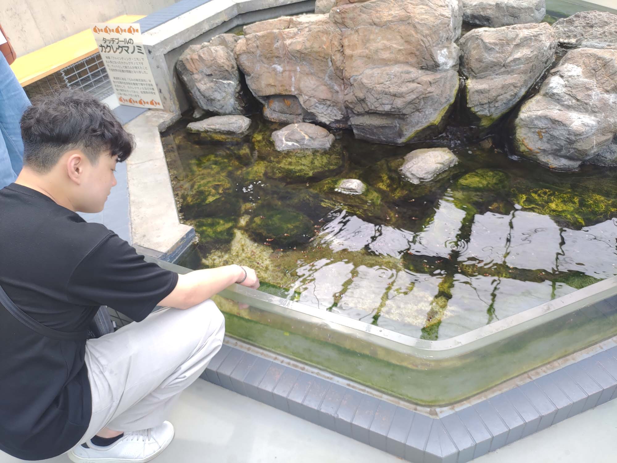 德島景點┃2025全新改裝!日本唯一「日和佐海龜博物館」座落百選大浜海岸 海龜產卵地 補捉百歲長輩海龜 德島親子自由行 德島景點 - 第39張圖 德島景點┃2025全新改裝!日本唯一「日和佐海龜博物館」座落百選大浜海岸 海龜產卵地 補捉百歲長輩海龜 德島親子自由行 德島景點