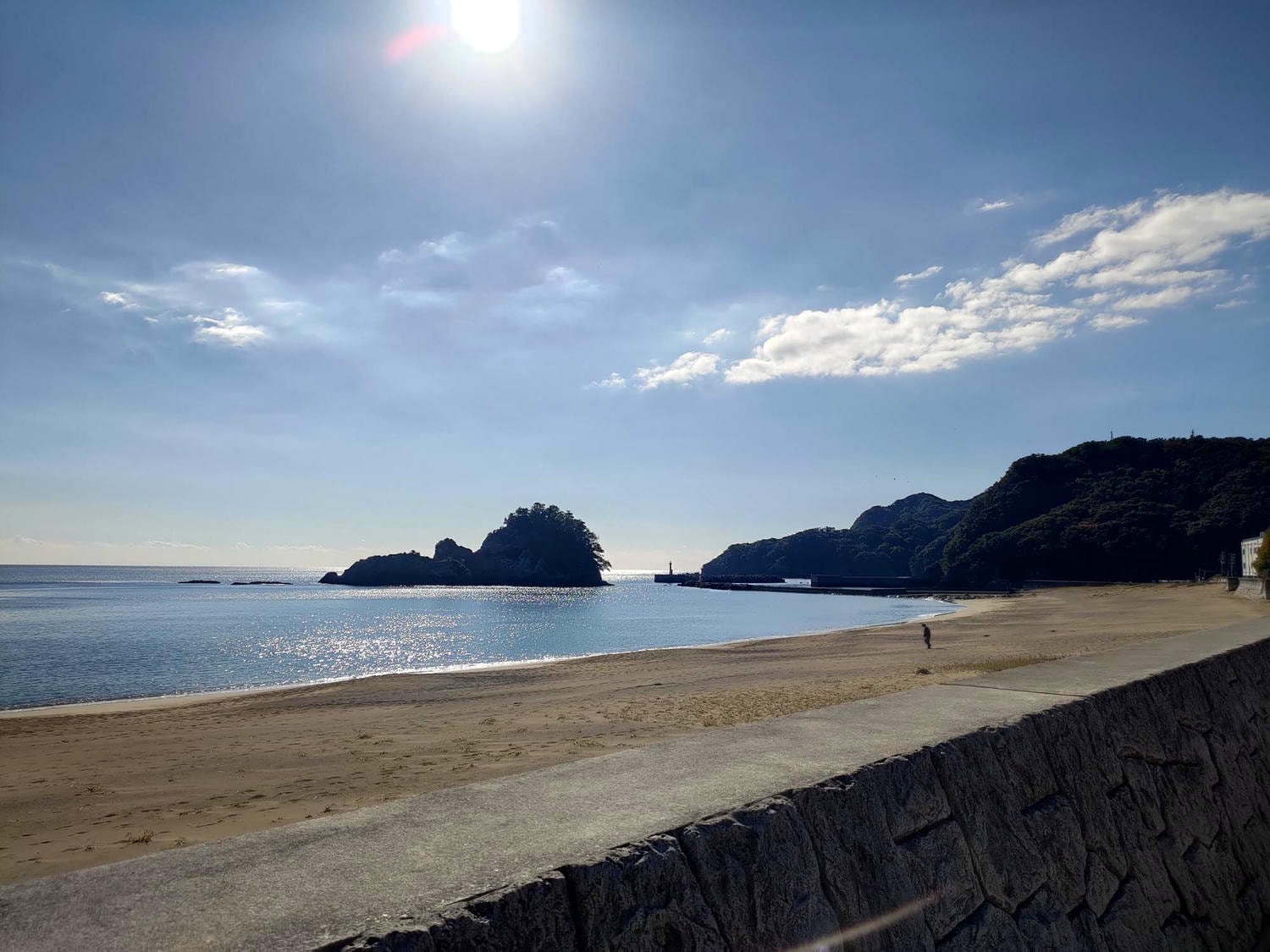 德島景點┃2025全新改裝!日本唯一「日和佐海龜博物館」座落百選大浜海岸 海龜產卵地 補捉百歲長輩海龜 德島親子自由行 德島景點 - 第5張圖 德島景點┃2025全新改裝!日本唯一「日和佐海龜博物館」座落百選大浜海岸 海龜產卵地 補捉百歲長輩海龜 德島親子自由行 德島景點