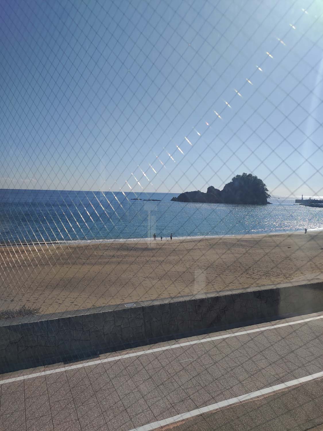 德島景點┃2025全新改裝!日本唯一「日和佐海龜博物館」座落百選大浜海岸 海龜產卵地 補捉百歲長輩海龜 德島親子自由行 德島景點 - 第20張圖 德島景點┃2025全新改裝!日本唯一「日和佐海龜博物館」座落百選大浜海岸 海龜產卵地 補捉百歲長輩海龜 德島親子自由行 德島景點