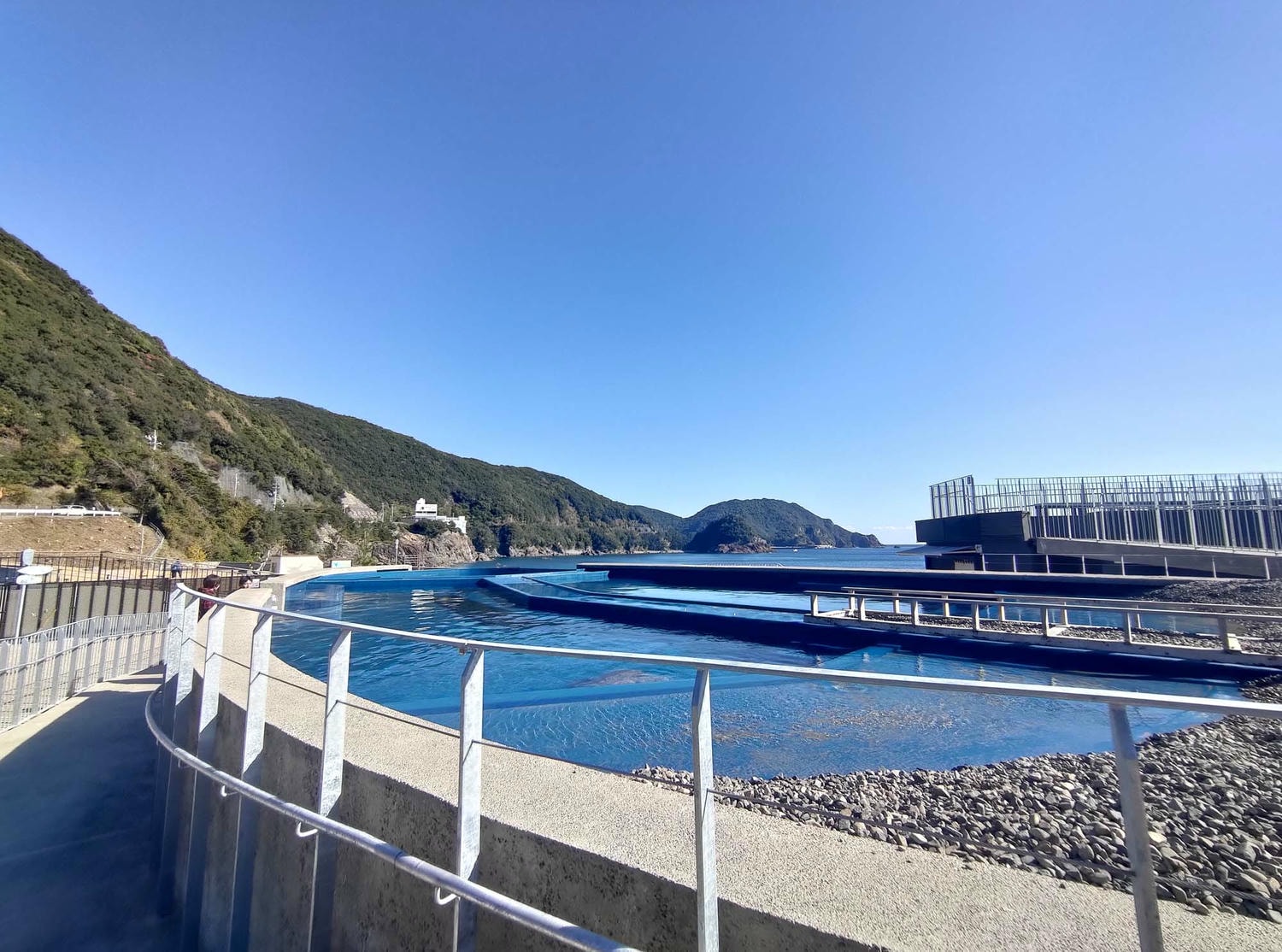 德島景點┃2025全新改裝!日本唯一「日和佐海龜博物館」座落百選大浜海岸 海龜產卵地 補捉百歲長輩海龜 德島親子自由行 德島景點 - 第44張圖 德島景點┃2025全新改裝!日本唯一「日和佐海龜博物館」座落百選大浜海岸 海龜產卵地 補捉百歲長輩海龜 德島親子自由行 德島景點