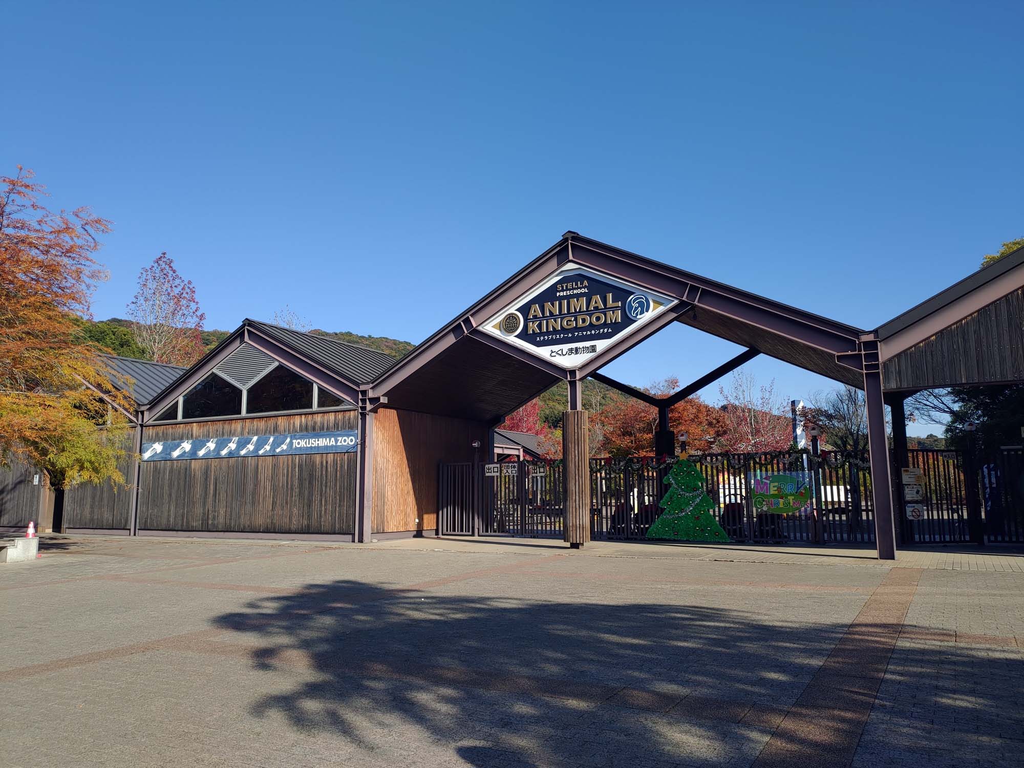 德島景點┃德島動物園 百隻水豚親子天堂 北極熊玩玩具 四國黑熊 狐獴古錐 秋楓銀杏超美 德島站車程20分 德島市自由行