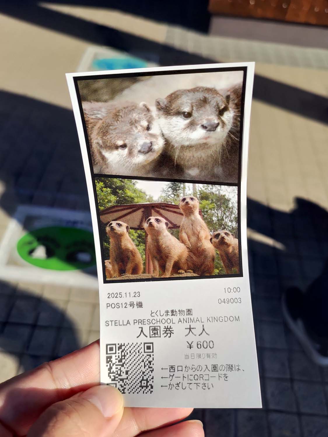 德島景點┃德島動物園 百隻水豚親子天堂 北極熊玩玩具 四國黑熊 狐獴古錐 秋楓銀杏超美 德島站車程20分 德島市自由行