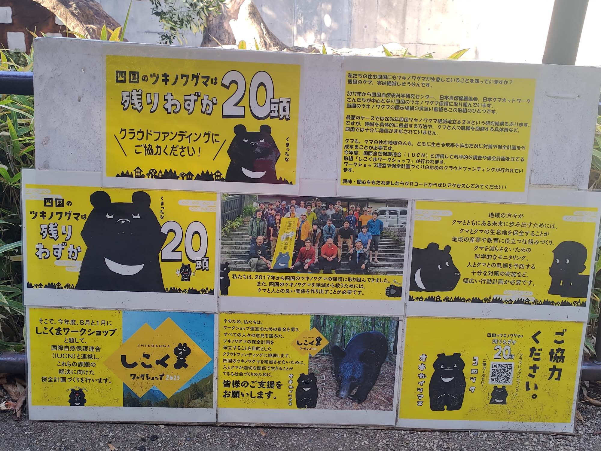 德島景點┃德島動物園 百隻水豚親子天堂 北極熊玩玩具 四國黑熊 狐獴古錐 秋楓銀杏超美 德島站車程20分 德島市自由行