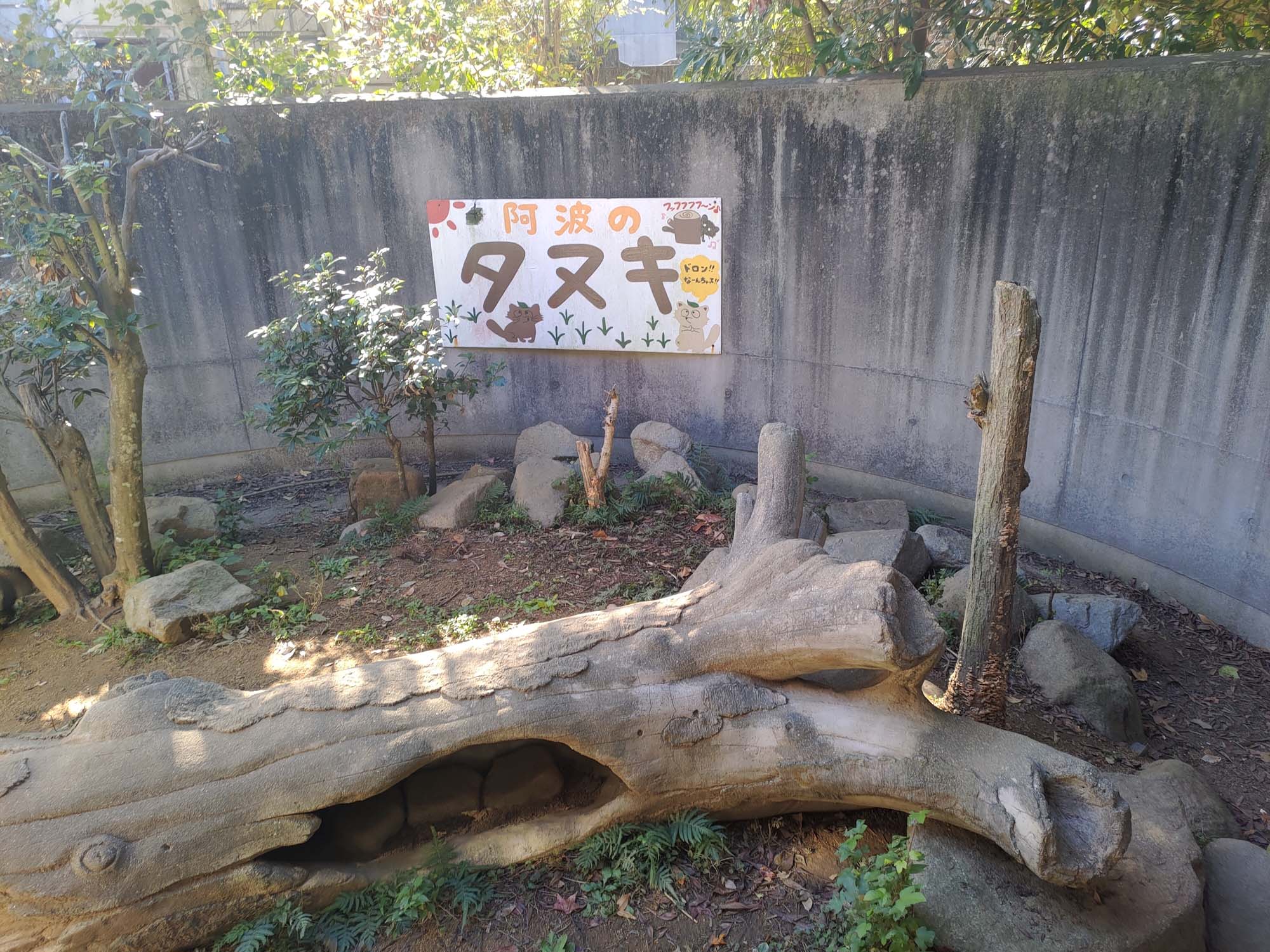 德島景點┃德島動物園 百隻水豚親子天堂 北極熊玩玩具 四國黑熊 狐獴古錐 秋楓銀杏超美 德島站車程20分 德島市自由行