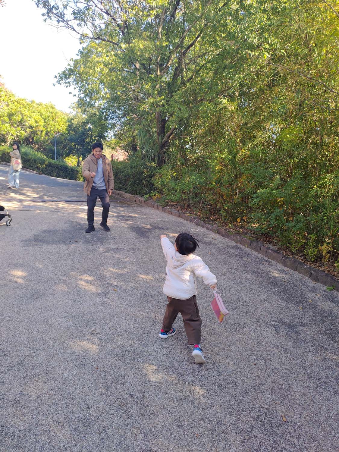 德島景點┃德島動物園 百隻水豚親子天堂 北極熊玩玩具 四國黑熊 狐獴古錐 秋楓銀杏超美 德島站車程20分 德島市自由行
