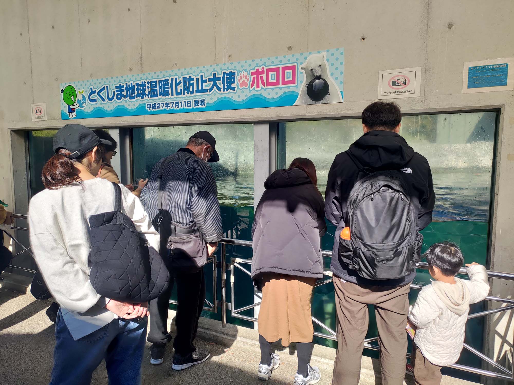 德島景點┃德島動物園 百隻水豚親子天堂 北極熊玩玩具 四國黑熊 狐獴古錐 秋楓銀杏超美 德島站車程20分 德島市自由行