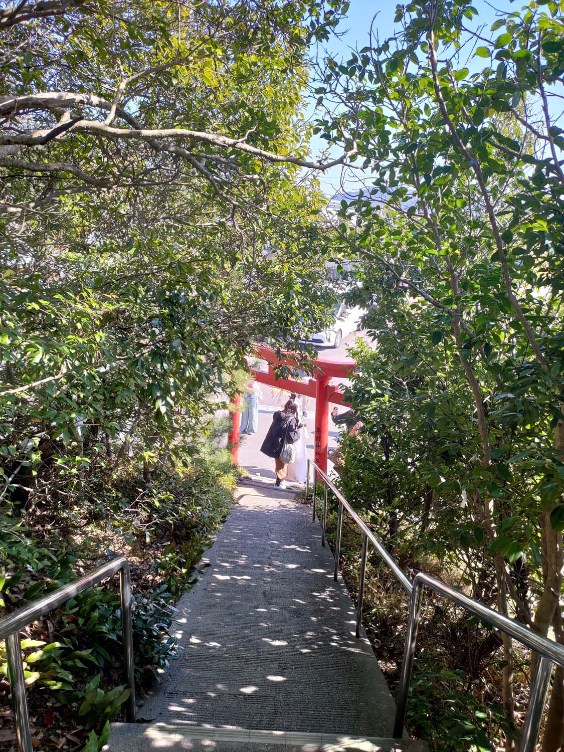 德島景點┃德島市區親子遊 搭葫蘆島周遊船、挑戰日本最矮弁天山、全日最大木育美術館明日夢樂園與水豚動物園四大必訪推薦