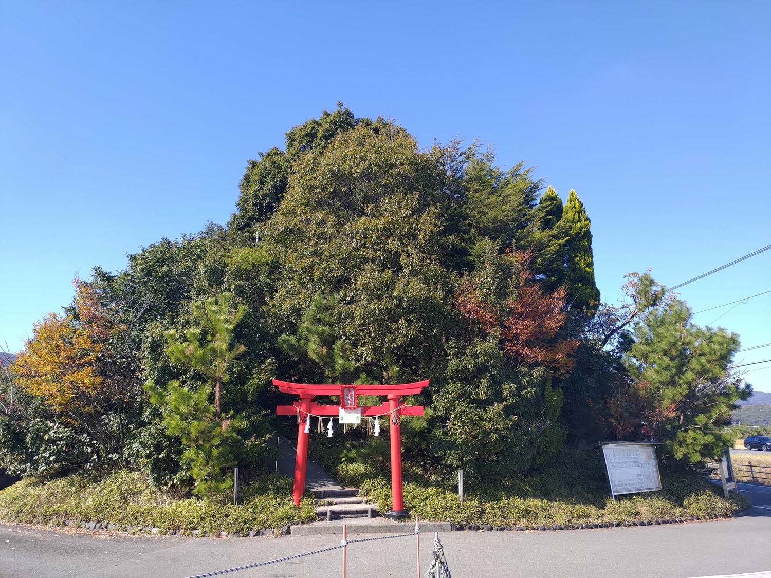 德島景點┃德島市區親子遊 搭葫蘆島周遊船、挑戰日本最矮弁天山、全日最大木育美術館明日夢樂園與水豚動物園四大必訪推薦