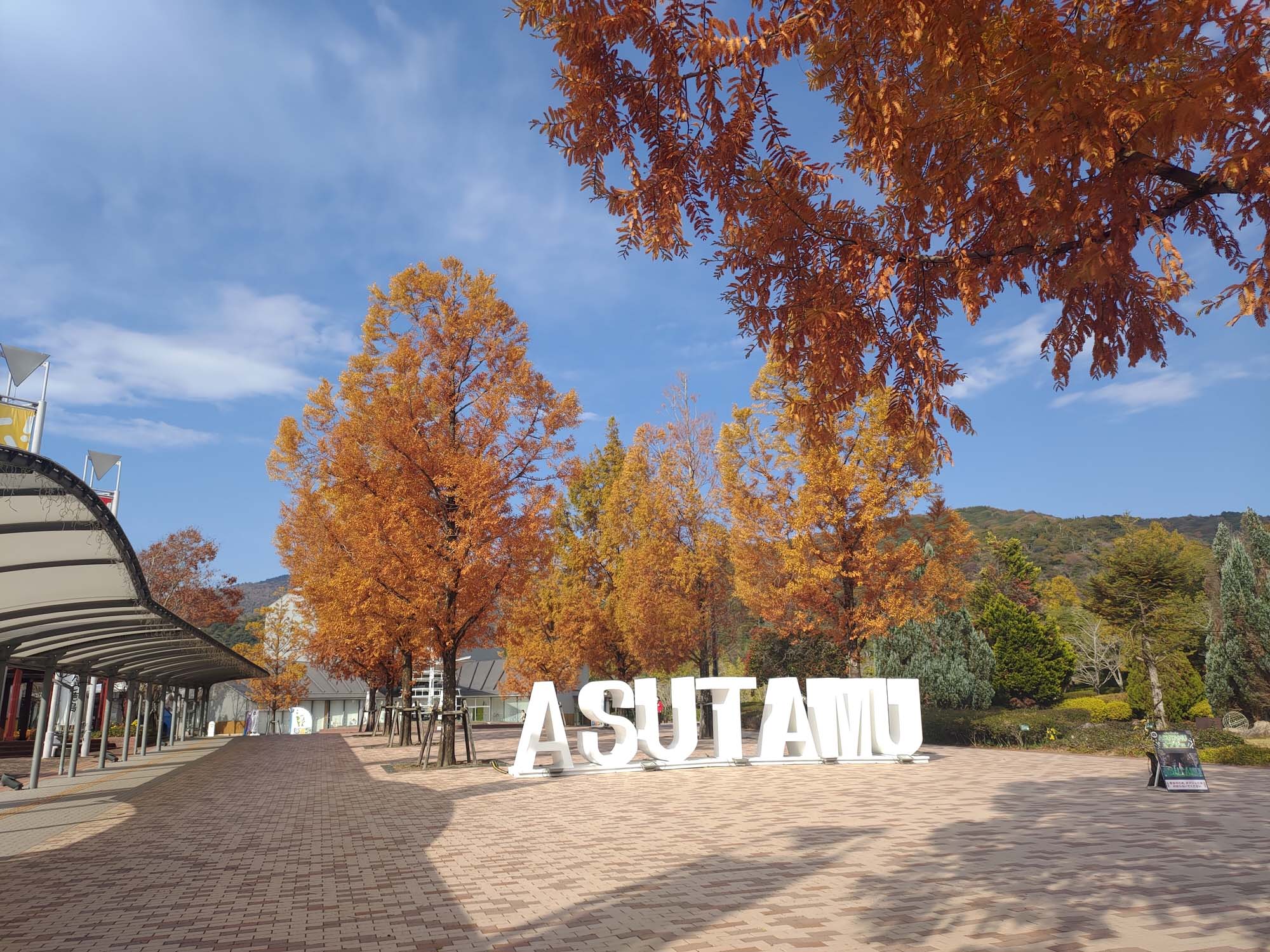 德島景點┃親子明日多夢樂園 全日本最大木育美術館萬顆木蛋浴池 科學水世界巨大益智溜滑梯迷宮 天文科學館 德島自由行 四國親子 - 第4張圖 德島景點┃親子明日多夢樂園 全日本最大木育美術館萬顆木蛋浴池 科學水世界巨大益智溜滑梯迷宮 天文科學館 德島自由行 四國親子