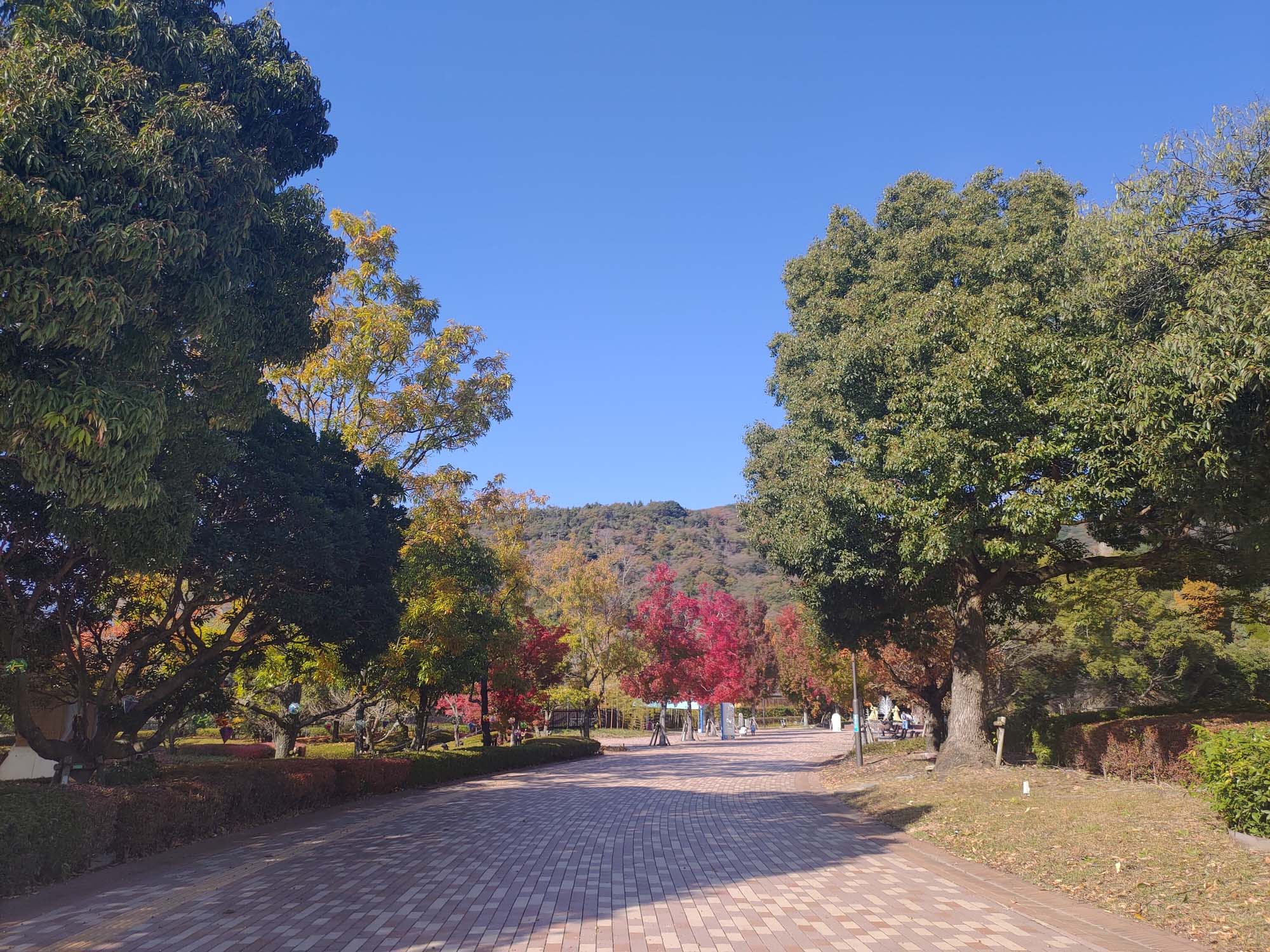 德島景點┃親子明日多夢樂園 全日本最大木育美術館萬顆木蛋浴池 科學水世界巨大益智溜滑梯迷宮 天文科學館 德島自由行 四國親子 - 第31張圖 德島景點┃親子明日多夢樂園 全日本最大木育美術館萬顆木蛋浴池 科學水世界巨大益智溜滑梯迷宮 天文科學館 德島自由行 四國親子