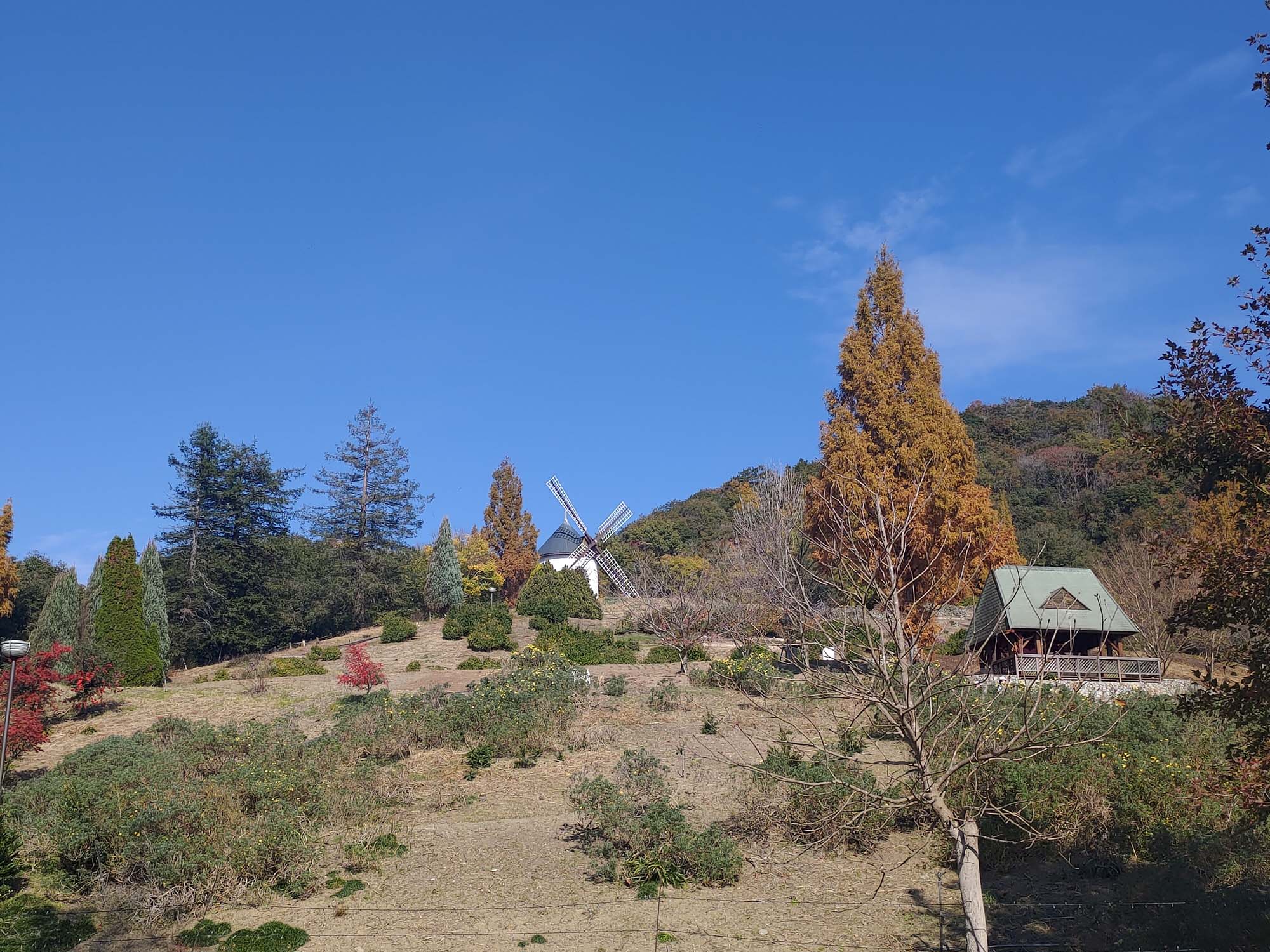 德島景點┃親子明日多夢樂園 全日本最大木育美術館萬顆木蛋浴池 科學水世界巨大益智溜滑梯迷宮 天文科學館 德島自由行 四國親子 - 第30張圖 德島景點┃親子明日多夢樂園 全日本最大木育美術館萬顆木蛋浴池 科學水世界巨大益智溜滑梯迷宮 天文科學館 德島自由行 四國親子
