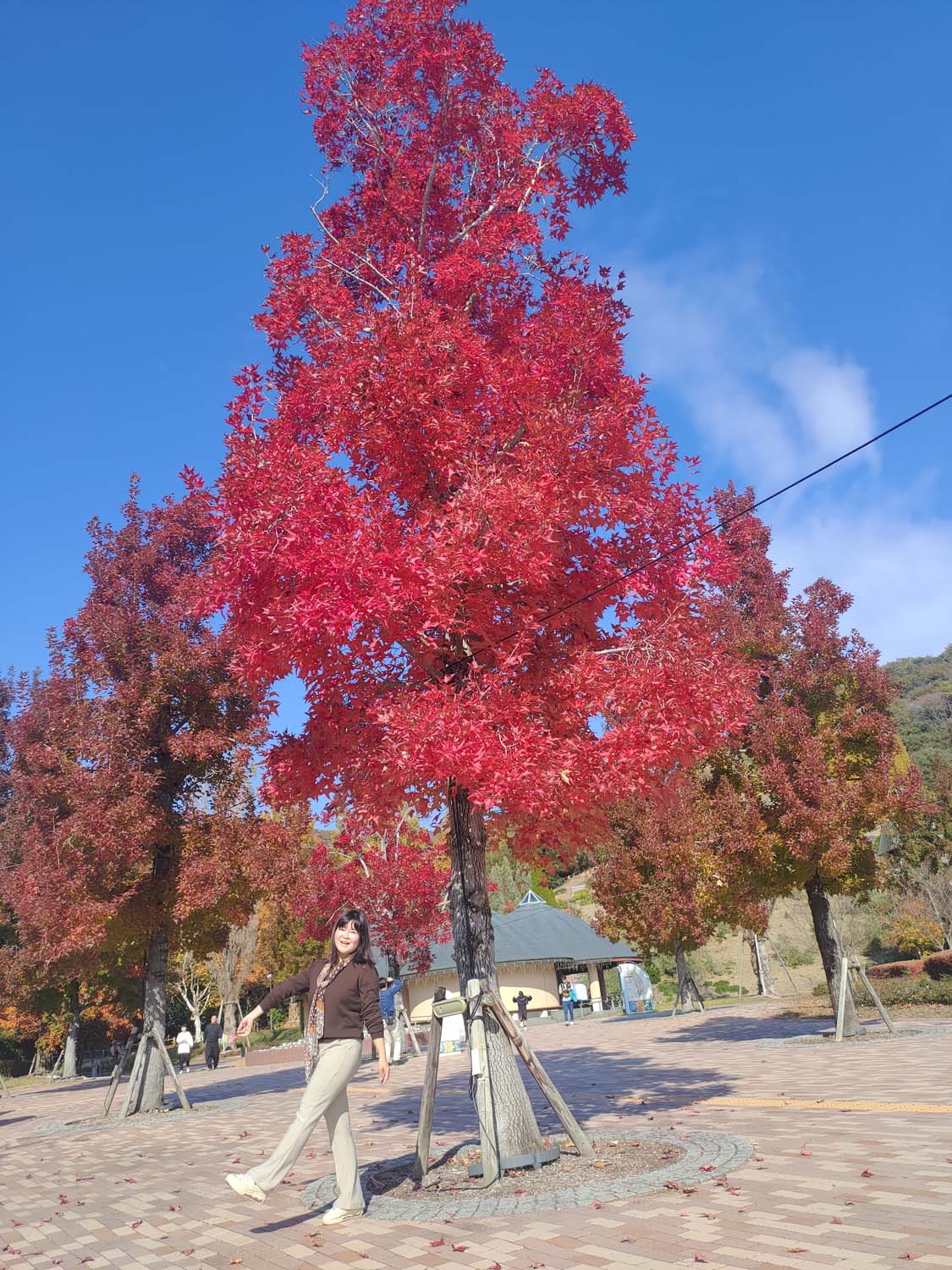 德島景點┃親子明日多夢樂園 全日本最大木育美術館萬顆木蛋浴池 科學水世界巨大益智溜滑梯迷宮 天文科學館 德島自由行 四國親子 - 第70張圖 德島景點┃親子明日多夢樂園 全日本最大木育美術館萬顆木蛋浴池 科學水世界巨大益智溜滑梯迷宮 天文科學館 德島自由行 四國親子