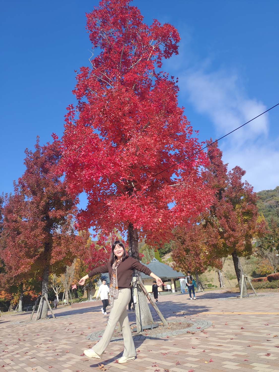 德島景點┃親子明日多夢樂園 全日本最大木育美術館萬顆木蛋浴池 科學水世界巨大益智溜滑梯迷宮 天文科學館 德島自由行 四國親子 - 第32張圖 德島景點┃親子明日多夢樂園 全日本最大木育美術館萬顆木蛋浴池 科學水世界巨大益智溜滑梯迷宮 天文科學館 德島自由行 四國親子