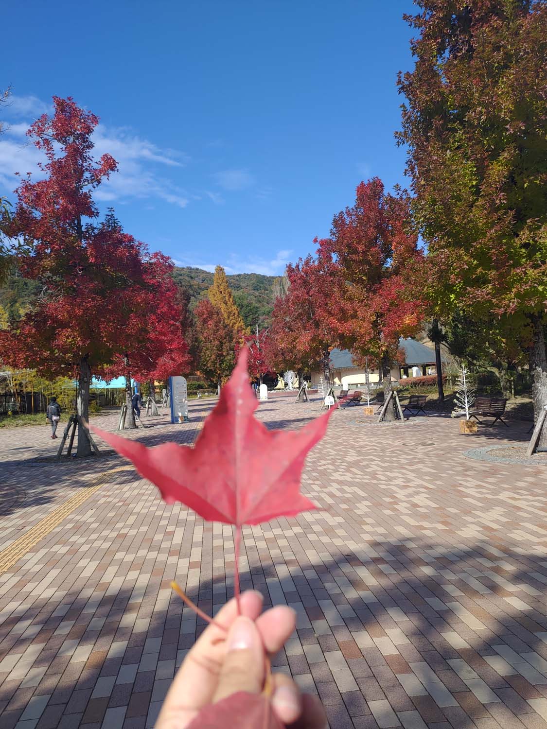 德島景點┃親子明日多夢樂園 全日本最大木育美術館萬顆木蛋浴池 科學水世界巨大益智溜滑梯迷宮 天文科學館 德島自由行 四國親子 - 第33張圖 德島景點┃親子明日多夢樂園 全日本最大木育美術館萬顆木蛋浴池 科學水世界巨大益智溜滑梯迷宮 天文科學館 德島自由行 四國親子