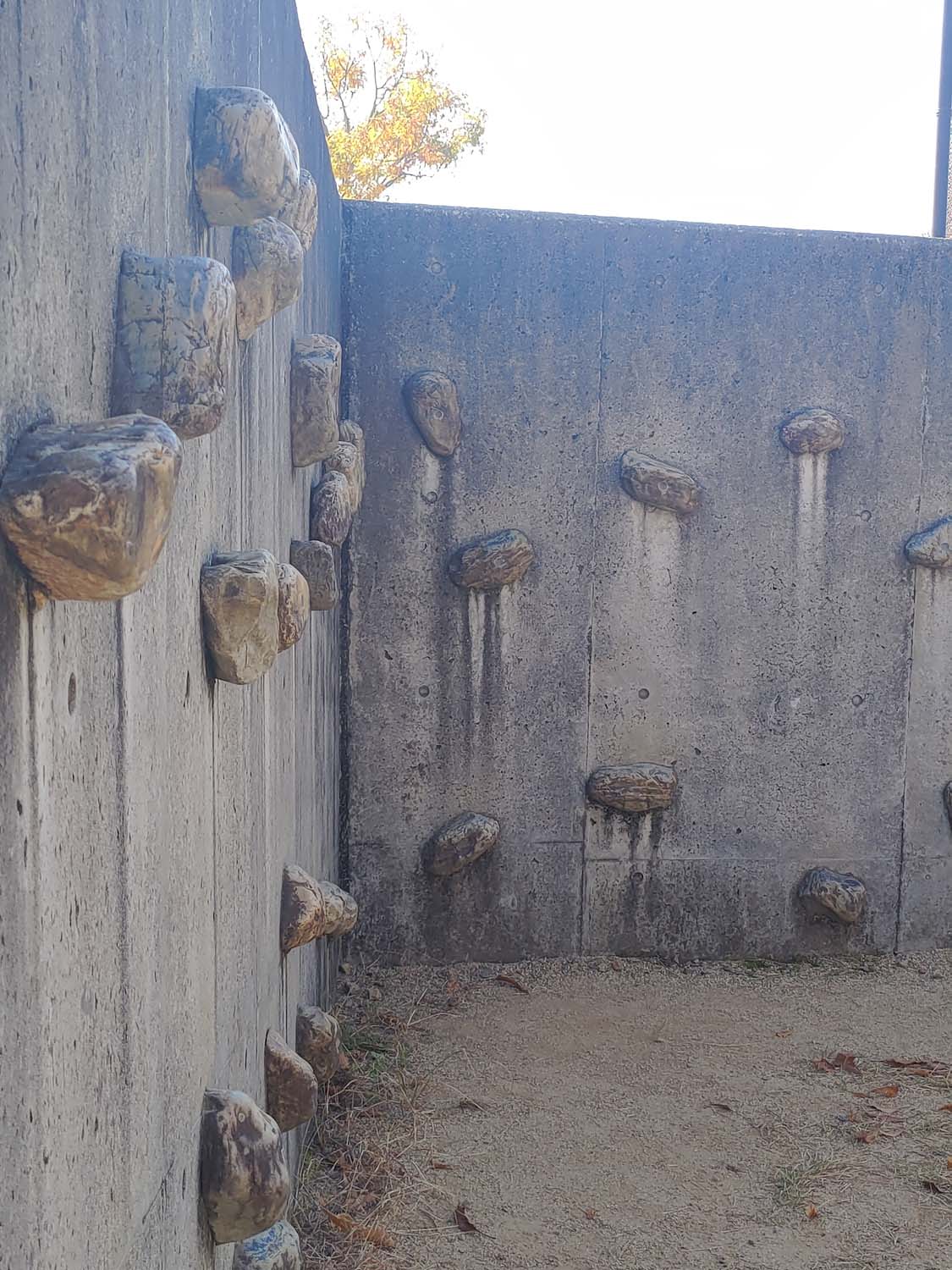 德島景點┃親子明日多夢樂園 全日本最大木育美術館萬顆木蛋浴池 科學水世界巨大益智溜滑梯迷宮 天文科學館 德島自由行 四國親子 - 第39張圖 德島景點┃親子明日多夢樂園 全日本最大木育美術館萬顆木蛋浴池 科學水世界巨大益智溜滑梯迷宮 天文科學館 德島自由行 四國親子