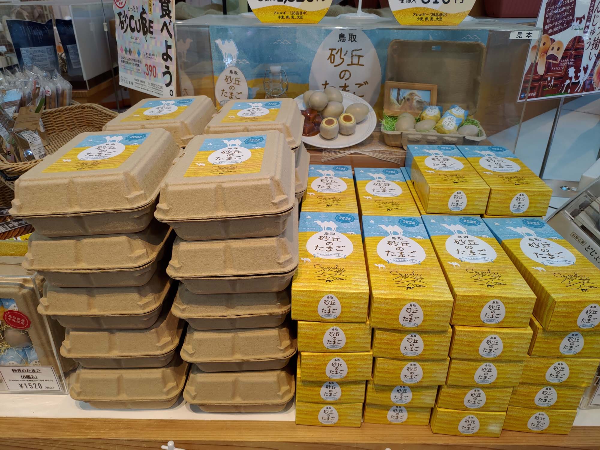 鳥取景點┃套上鞋套走鳥取砂丘 Takahama Cafe高濱咖啡砂丘美術館日本篇 三小時計程車 鳥取市自由行