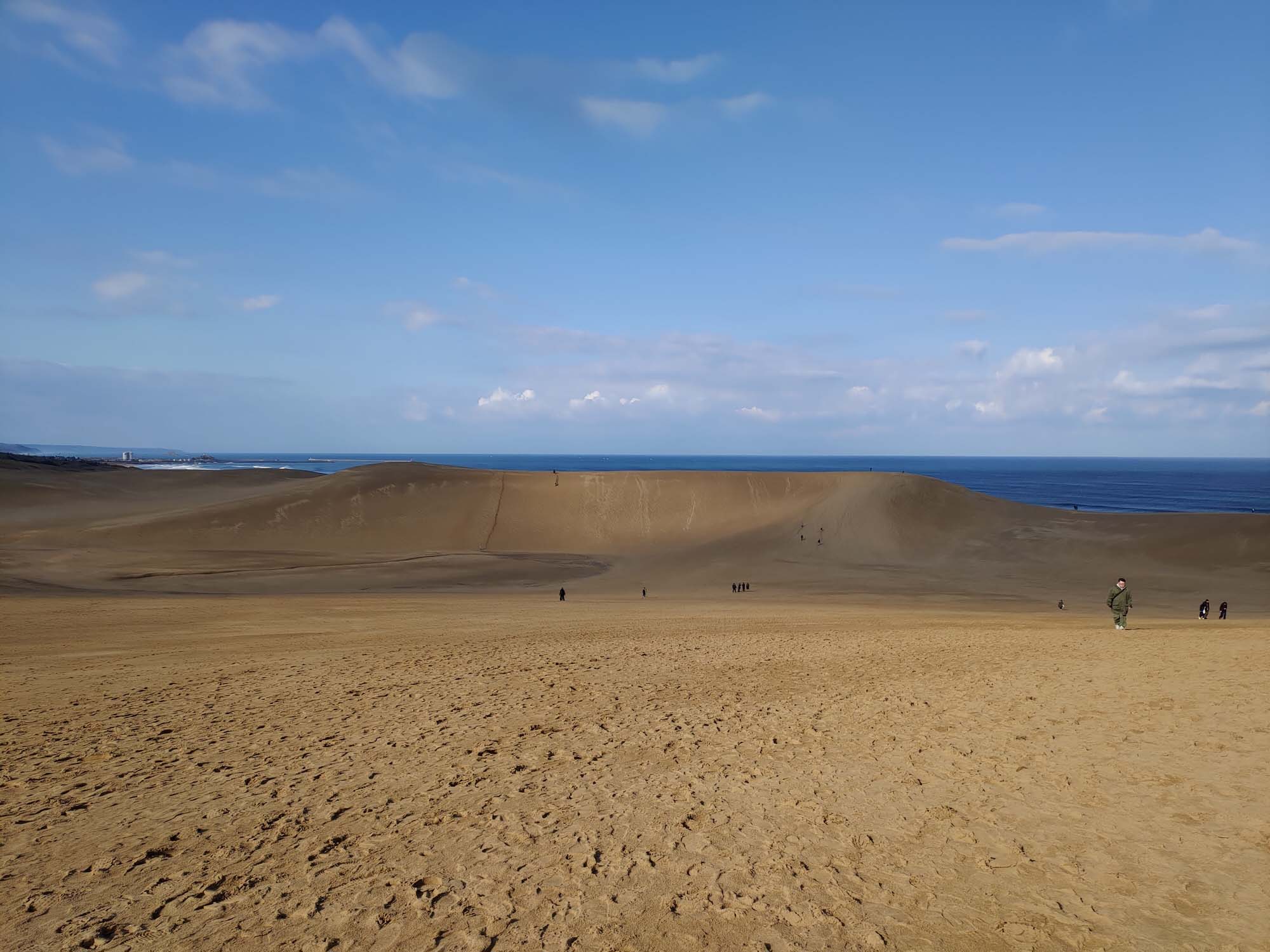 鳥取景點┃套上鞋套走鳥取砂丘 Takahama Cafe高濱咖啡砂丘美術館日本篇 三小時計程車 鳥取市自由行