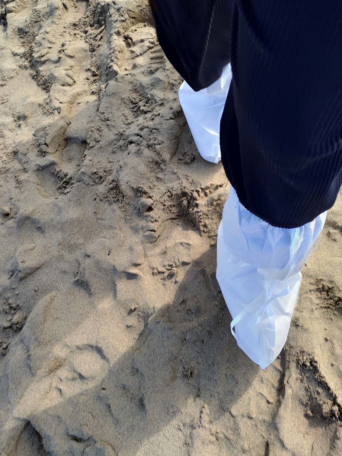 鳥取景點┃套上鞋套走鳥取砂丘 Takahama Cafe高濱咖啡砂丘美術館日本篇 三小時計程車 鳥取市自由行