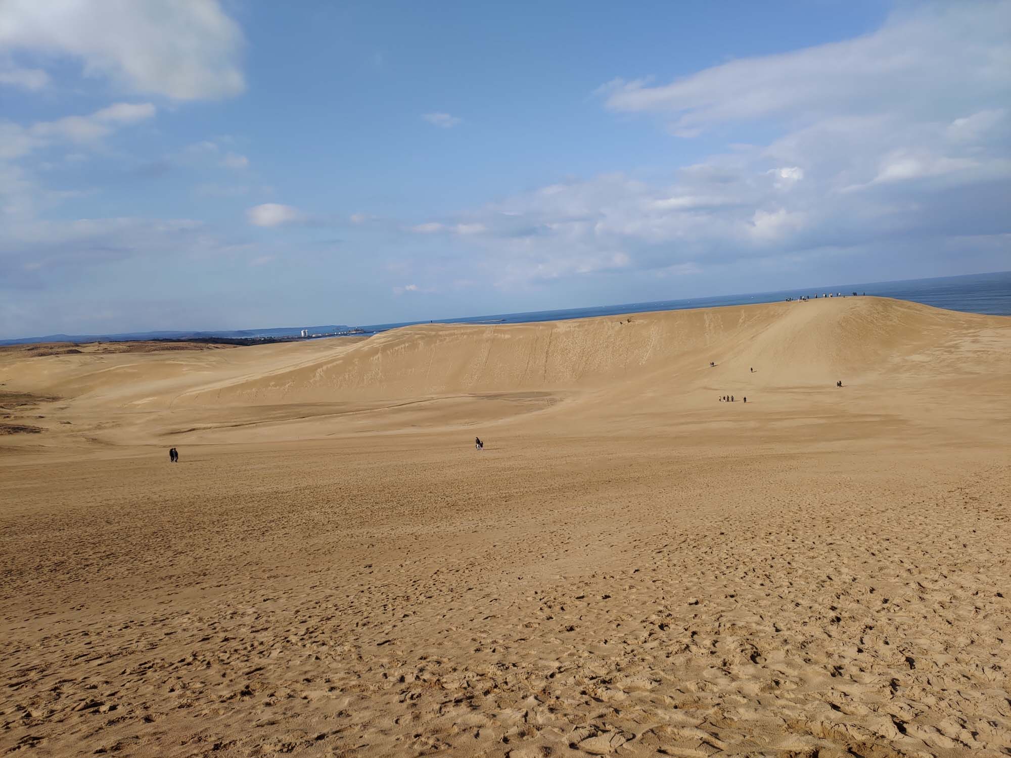 鳥取景點┃套上鞋套走鳥取砂丘 Takahama Cafe高濱咖啡砂丘美術館日本篇 三小時計程車 鳥取市自由行