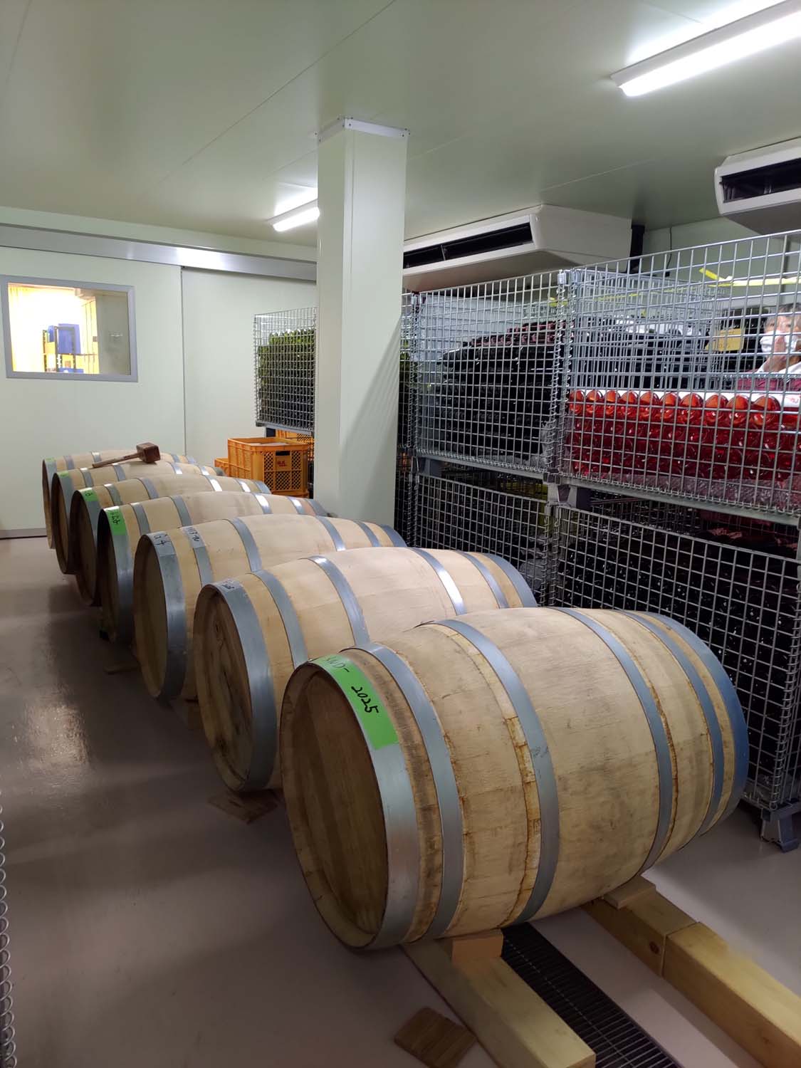 鳥取購物┃微醺之旅探訪「兔兔酒莊」兎ッ兎ワイナリー 葡萄園到酒杯的製程 柔順口感白酒紅酒 鳥取站車程17分 鳥取自由行