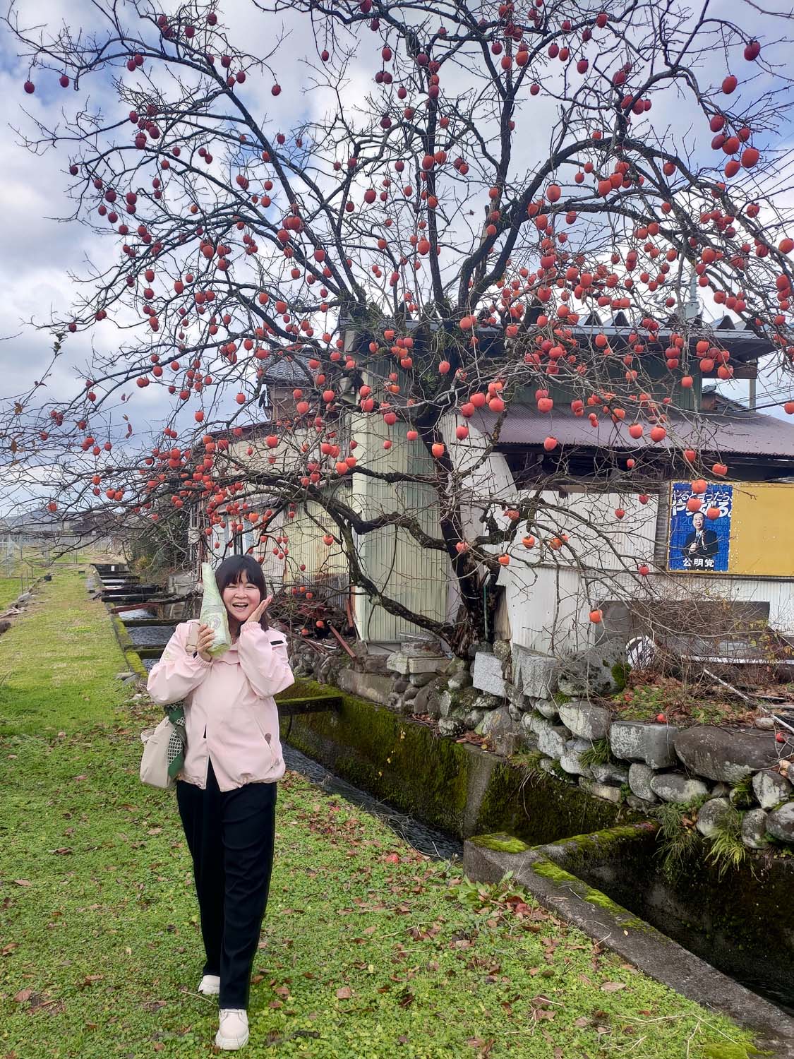 鳥取購物┃微醺之旅探訪「兔兔酒莊」兎ッ兎ワイナリー 葡萄園到酒杯的製程 柔順口感白酒紅酒 鳥取站車程17分 鳥取自由行