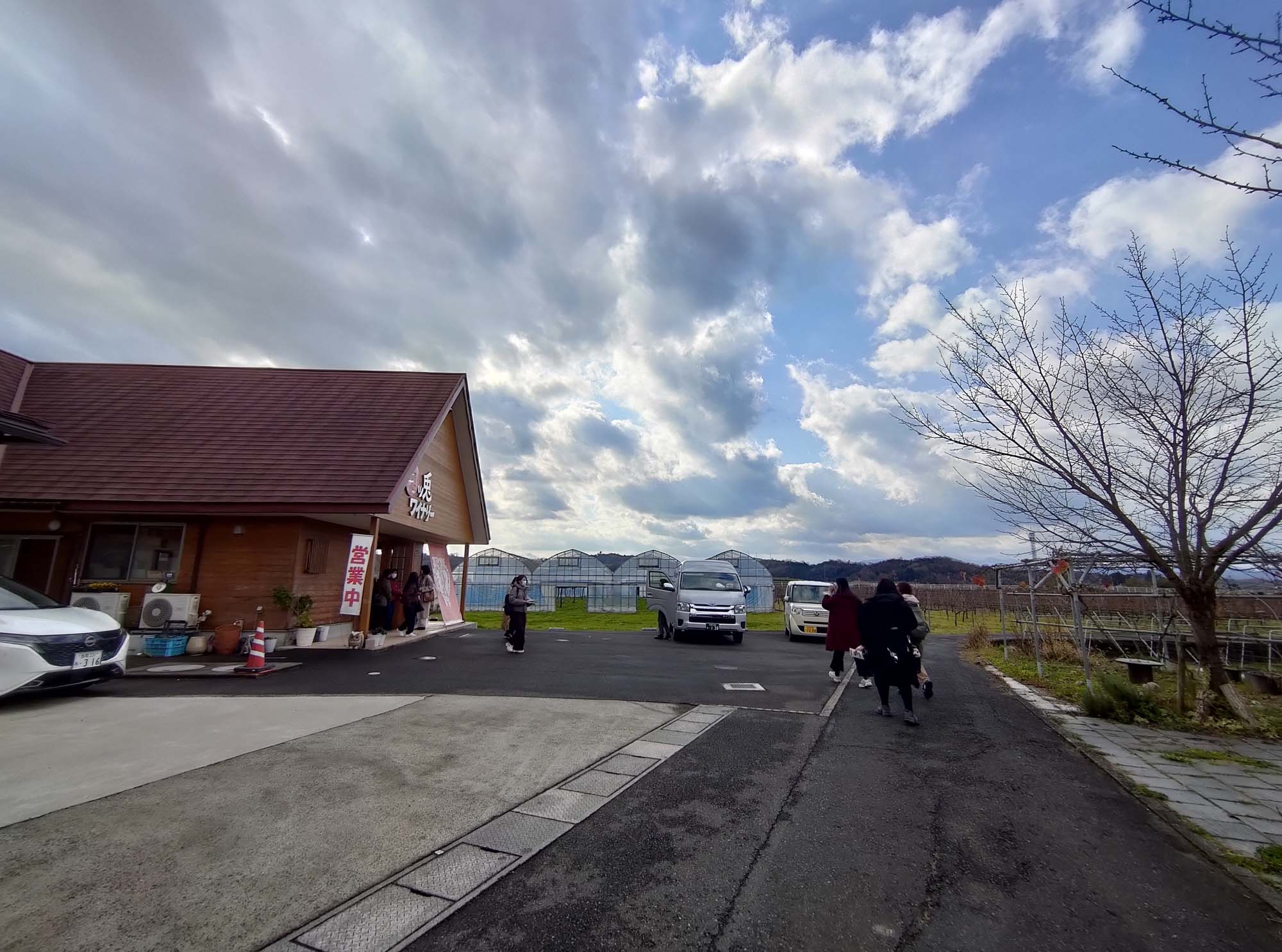 鳥取購物┃微醺之旅探訪「兔兔酒莊」兎ッ兎ワイナリー 葡萄園到酒杯的製程 柔順口感白酒紅酒 鳥取站車程17分 鳥取自由行